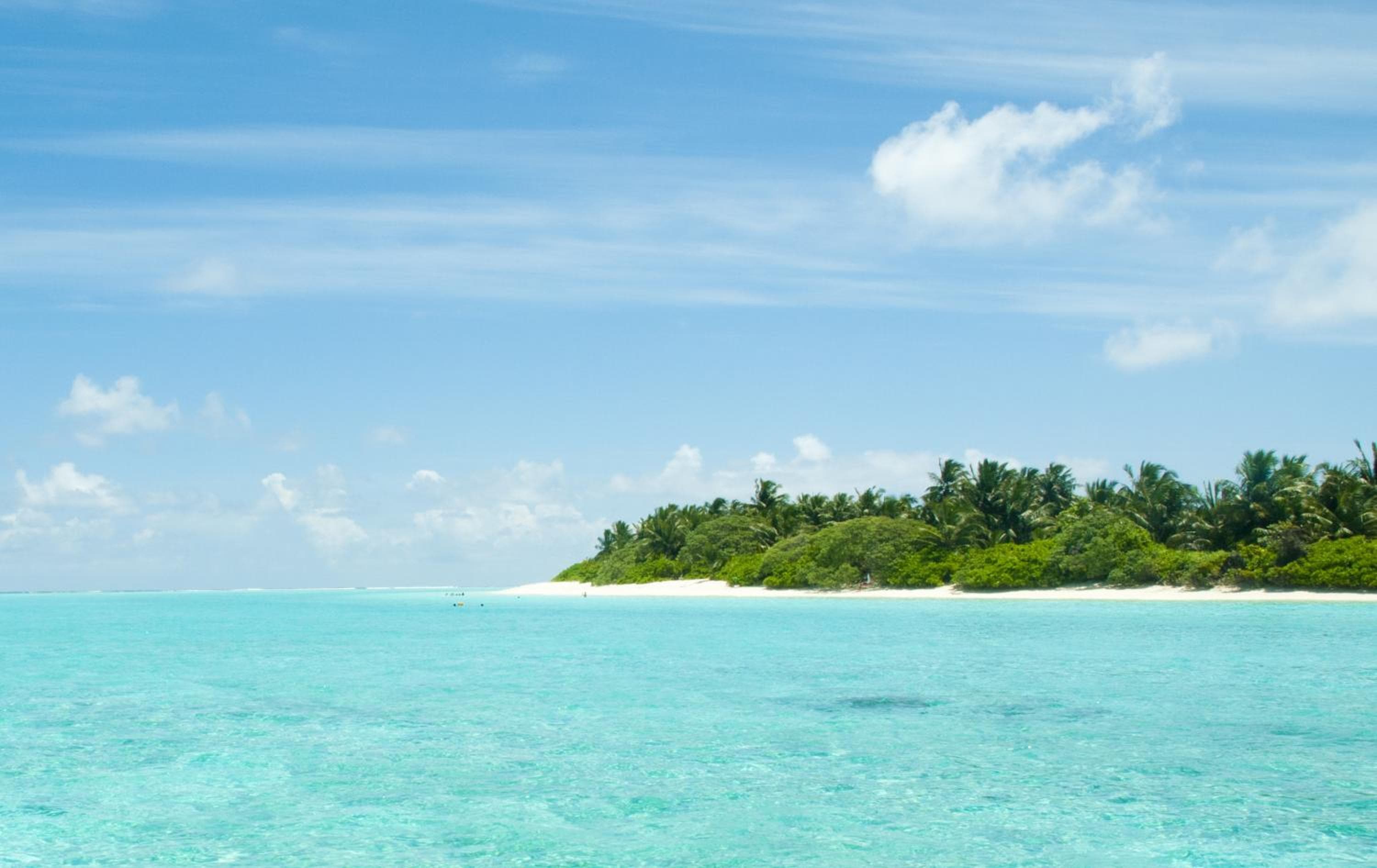 Palm Garden - View 33