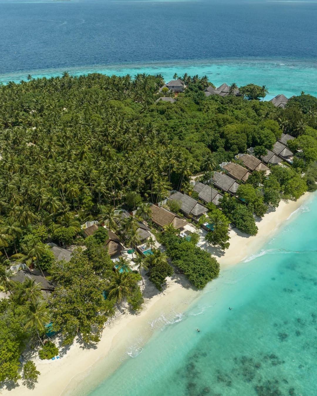 Dusit Thani Maldives - 50 percent off on Transfers for Stays of 5 Nights stay until 20 December 2026 - View 88