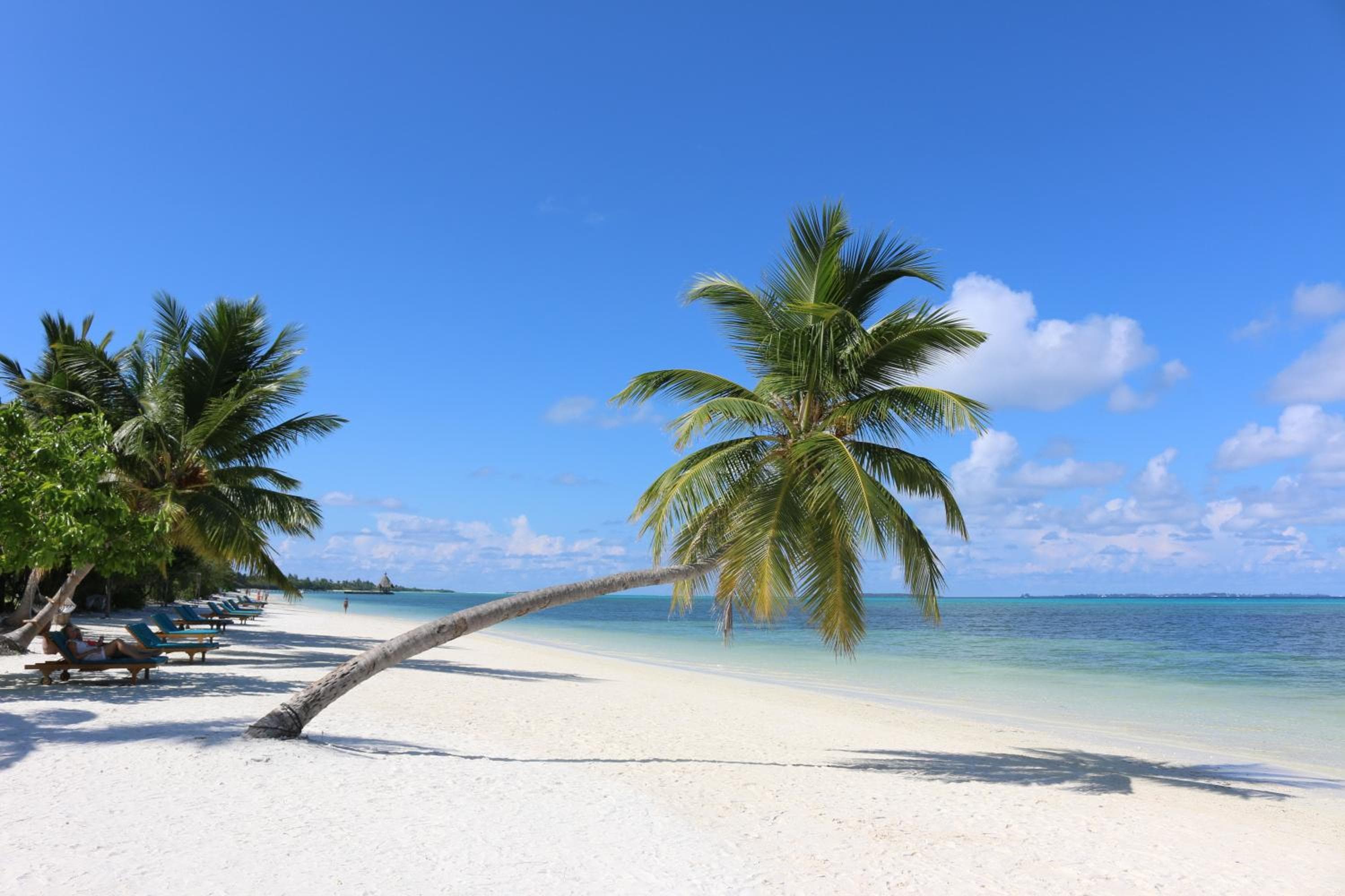 Canareef Resort Maldives - View 6