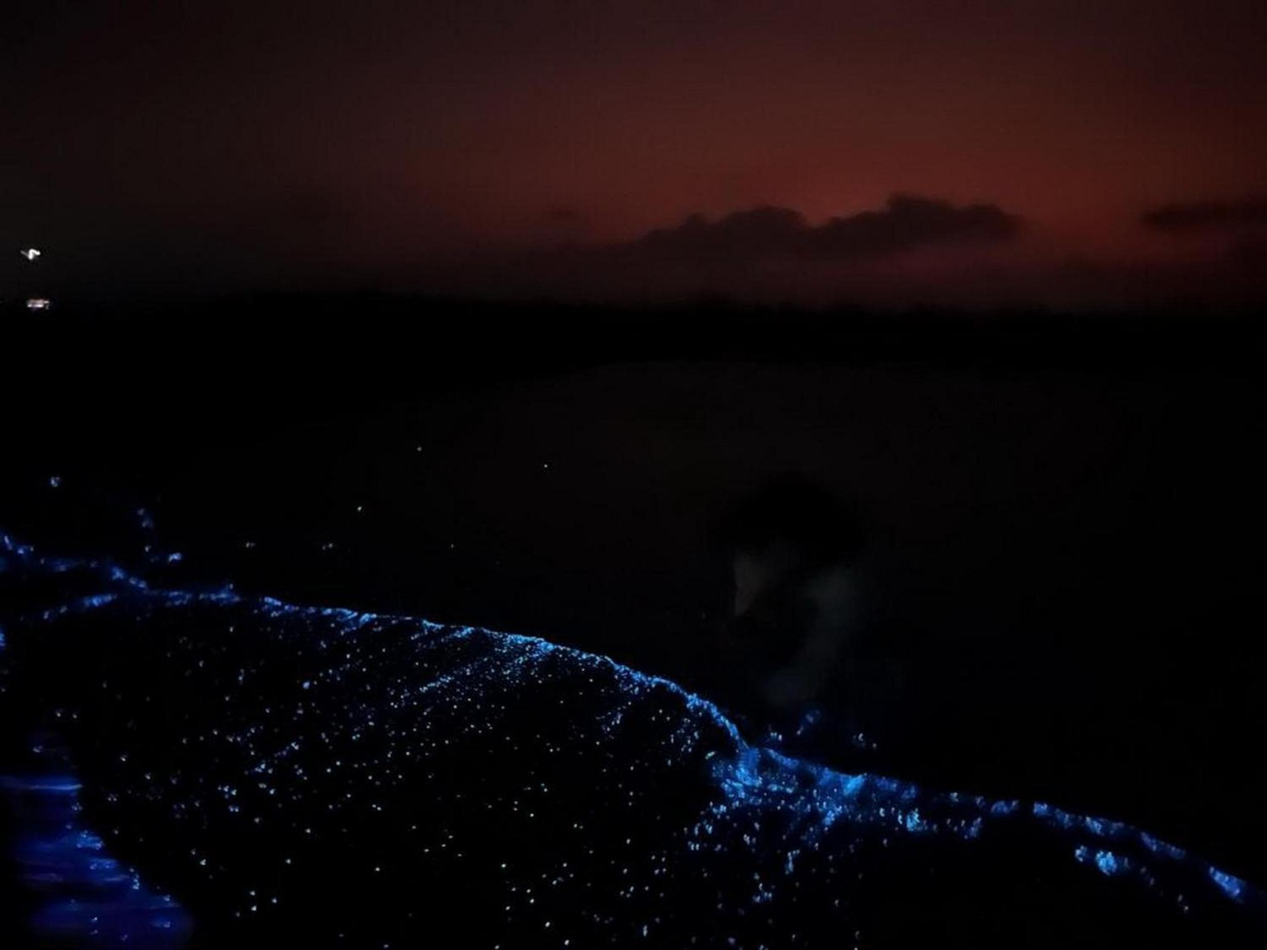 Adroit Beach Inn - View 279