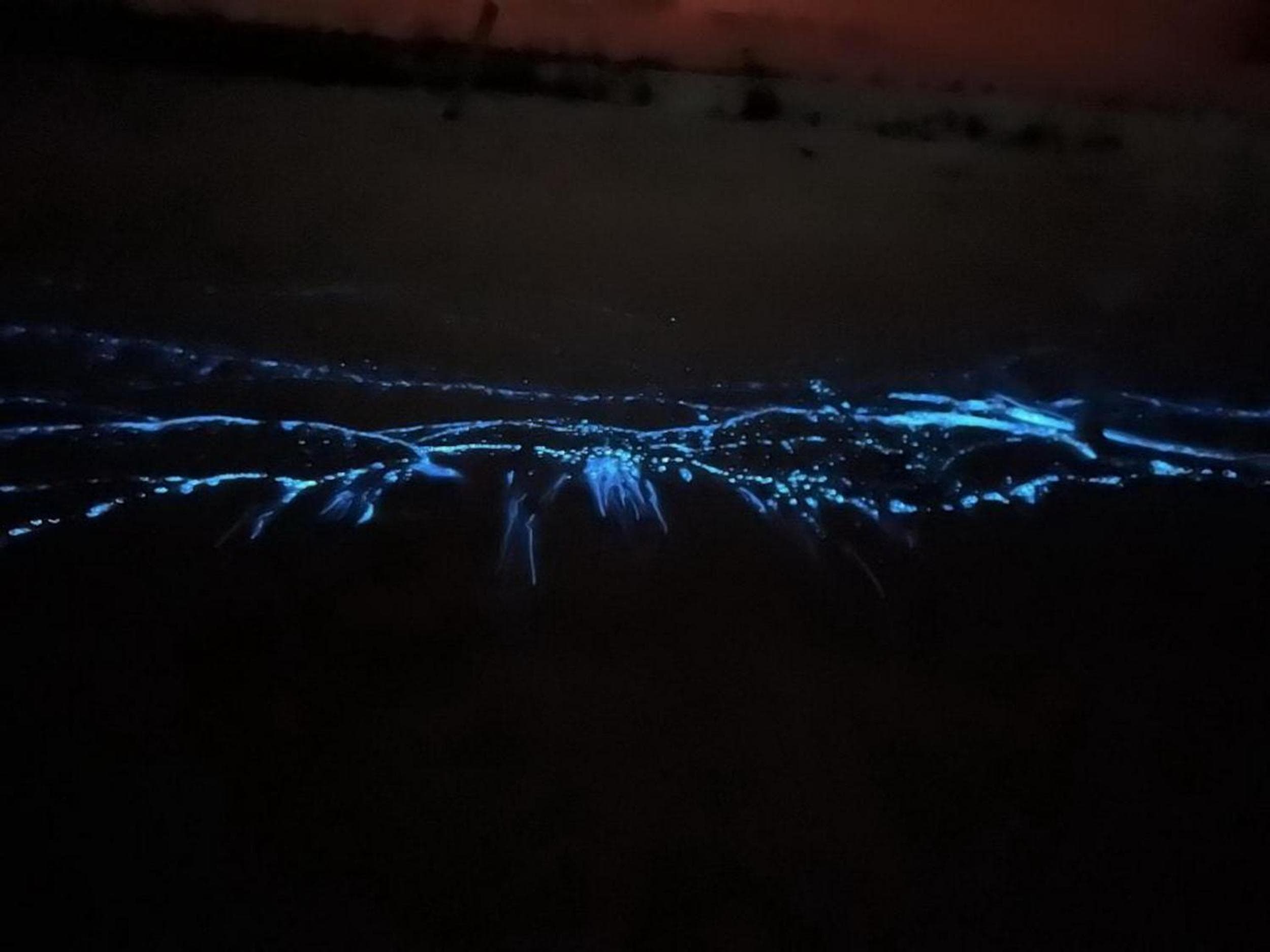 Adroit Beach Inn - View 2