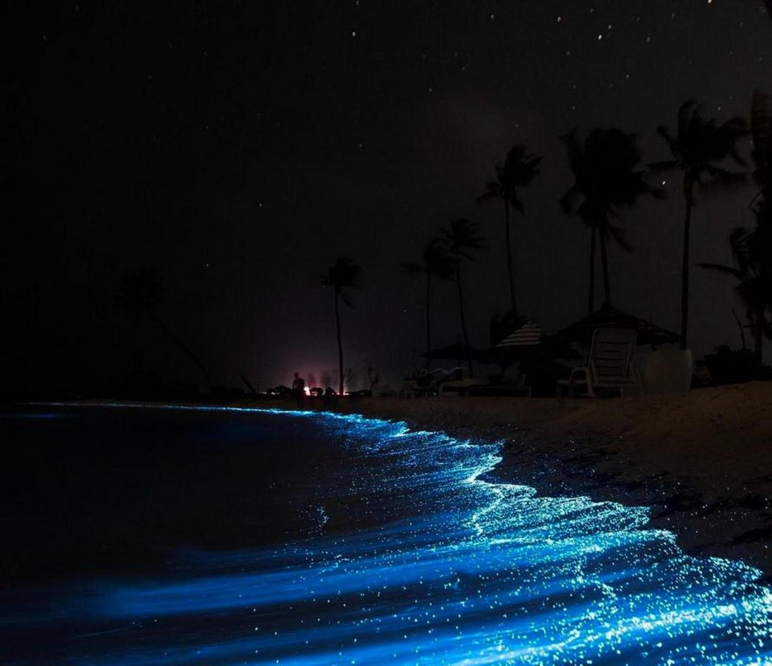 Adroit Beach Inn - View 285