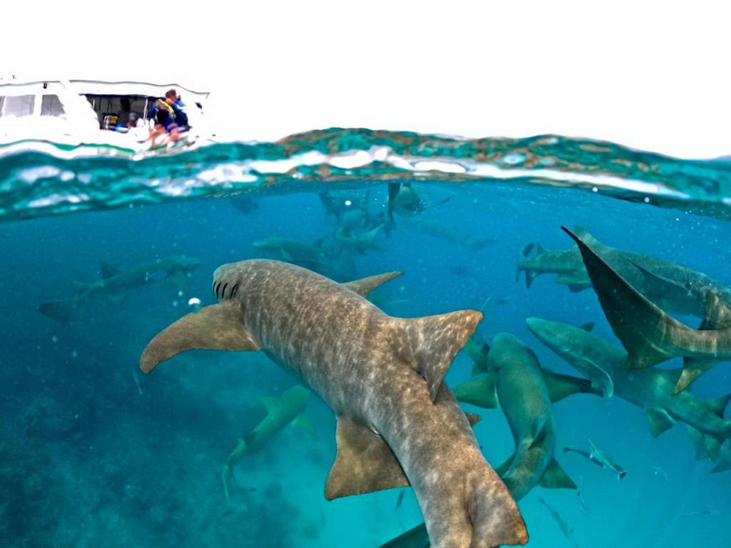 Adroit Beach Inn - View 93