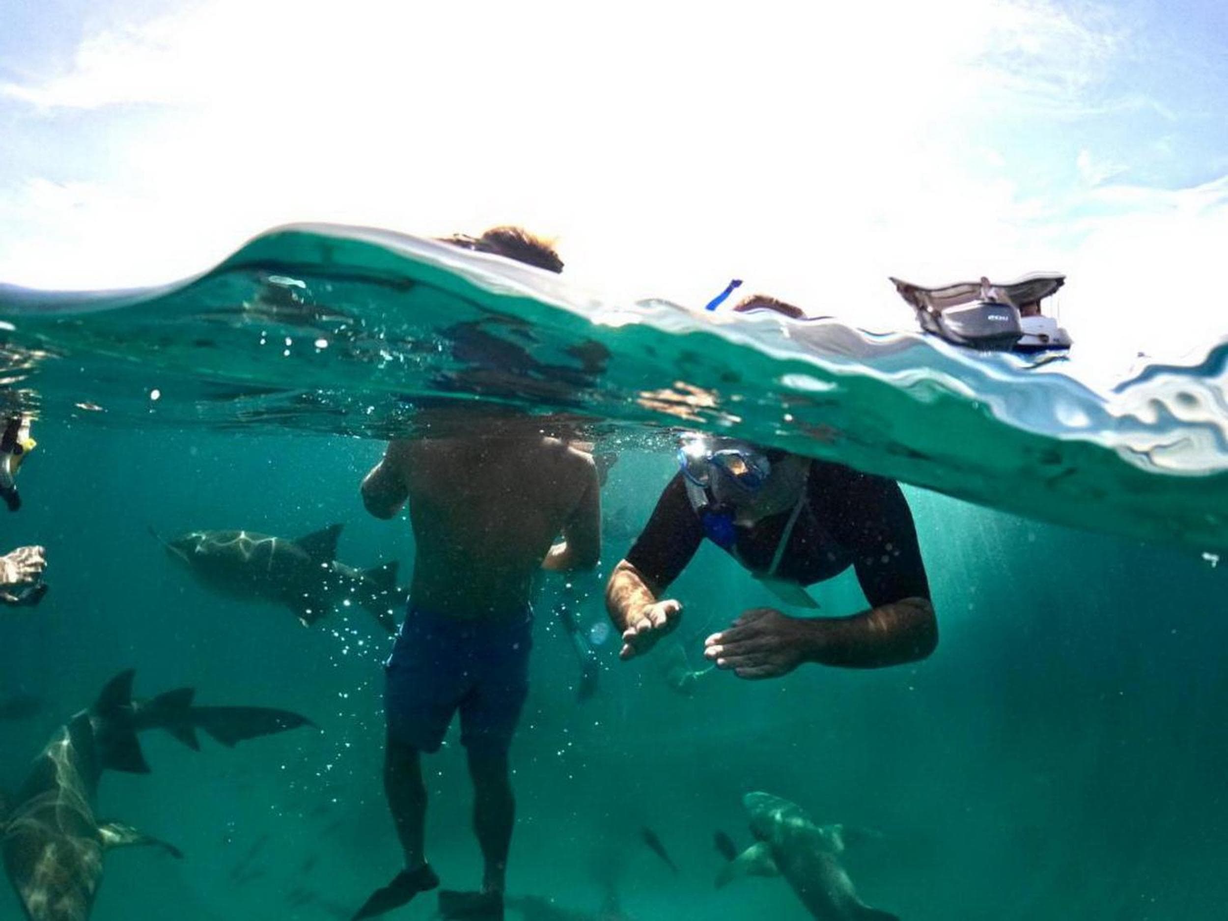 Adroit Beach Inn - View 89