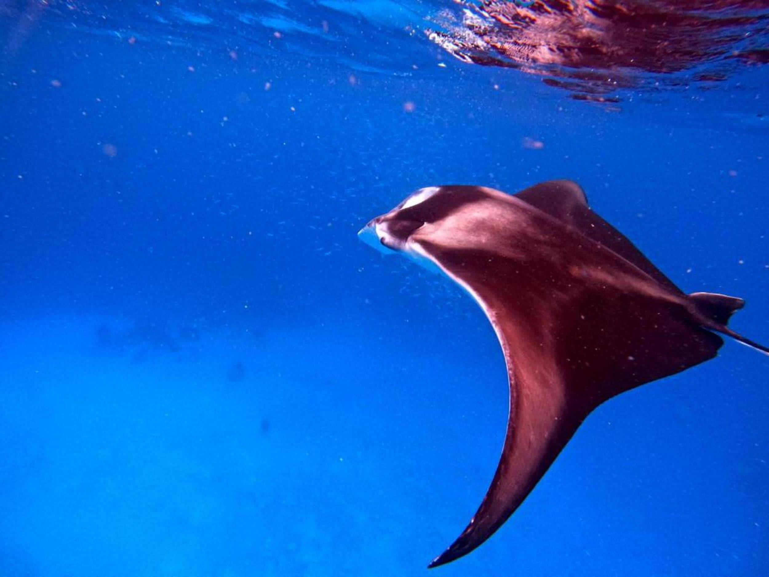 Adroit Beach Inn - View 58