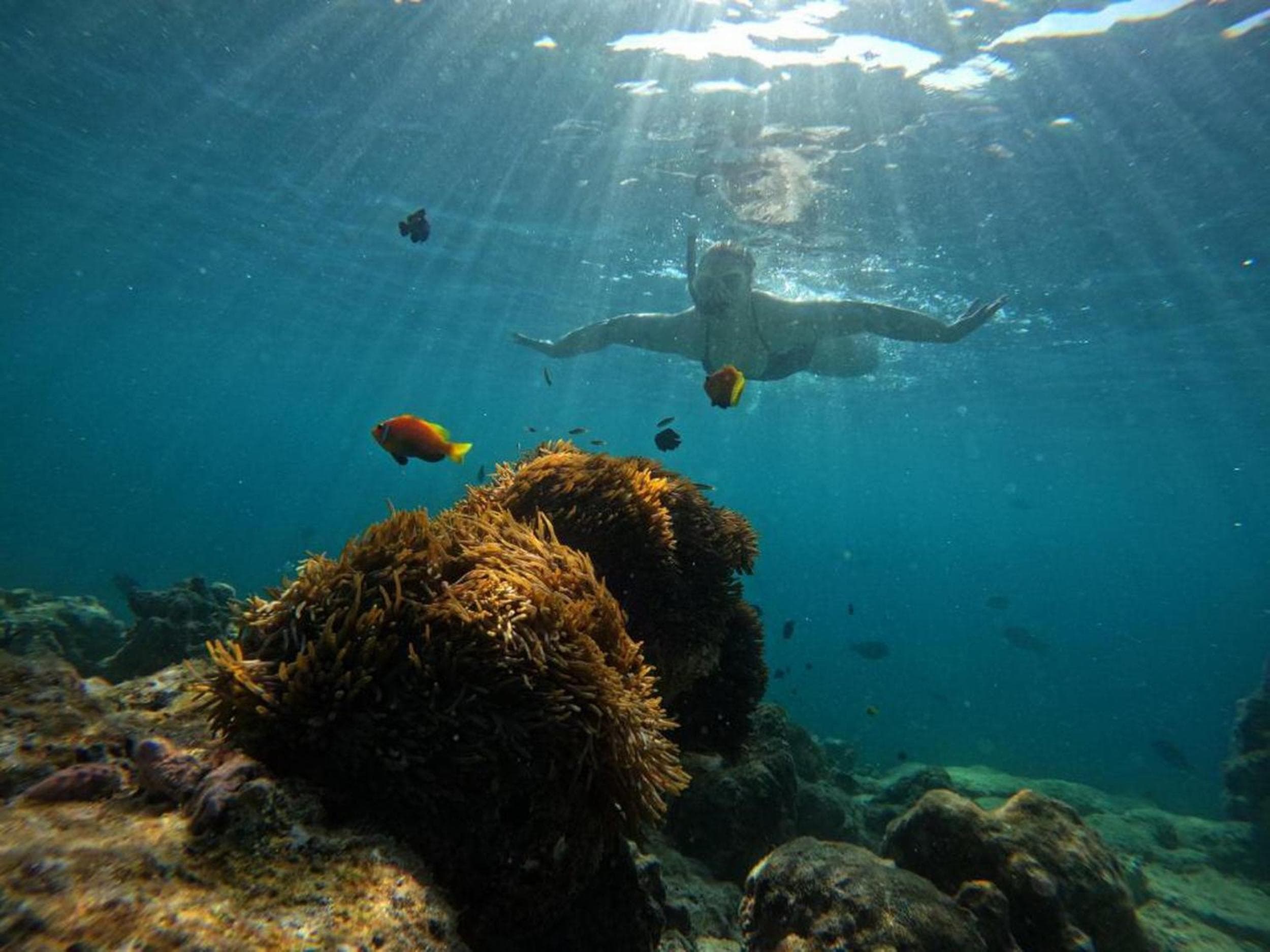 Adroit Beach Inn - View 6