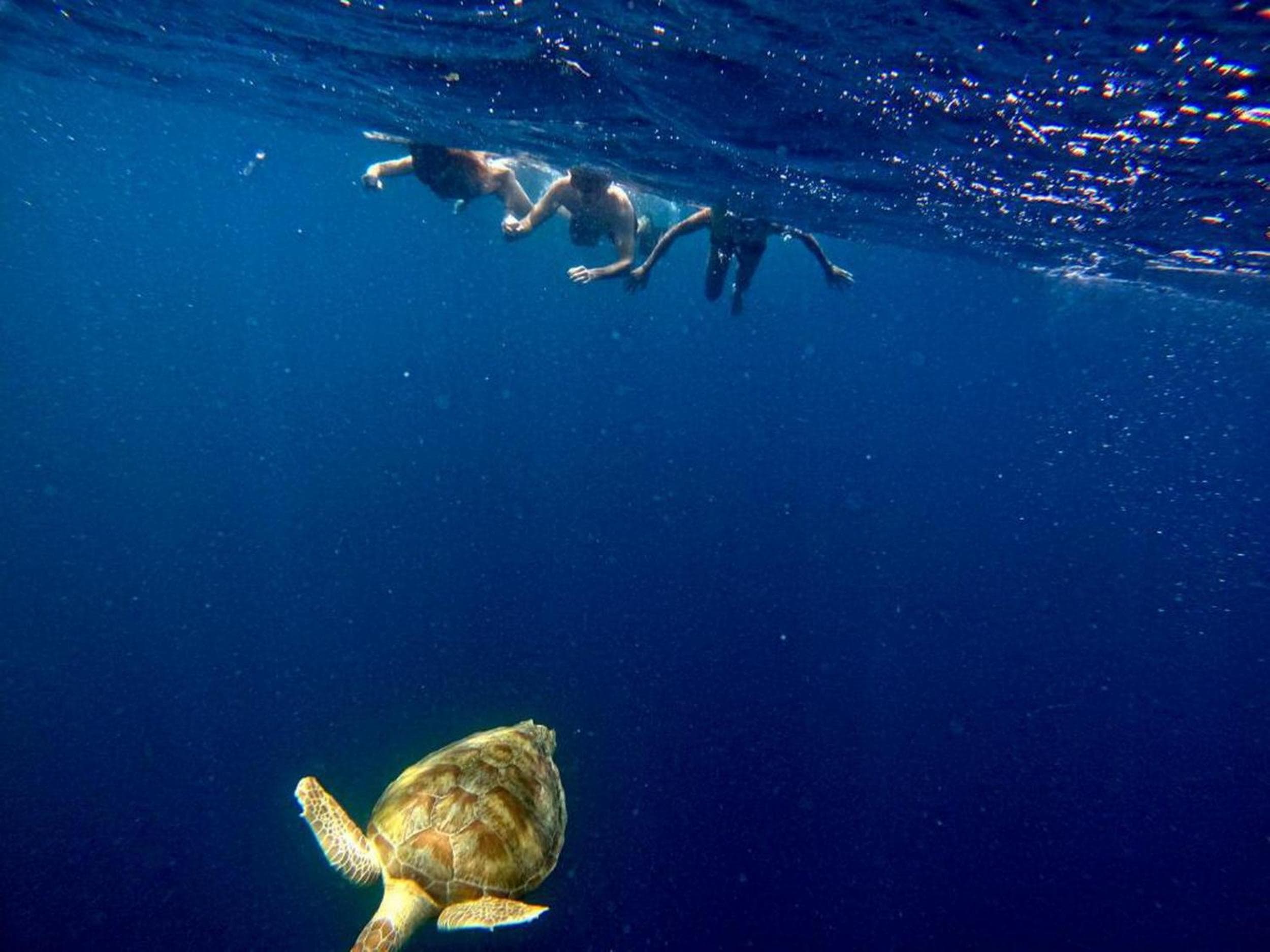 Adroit Beach Inn - View 24