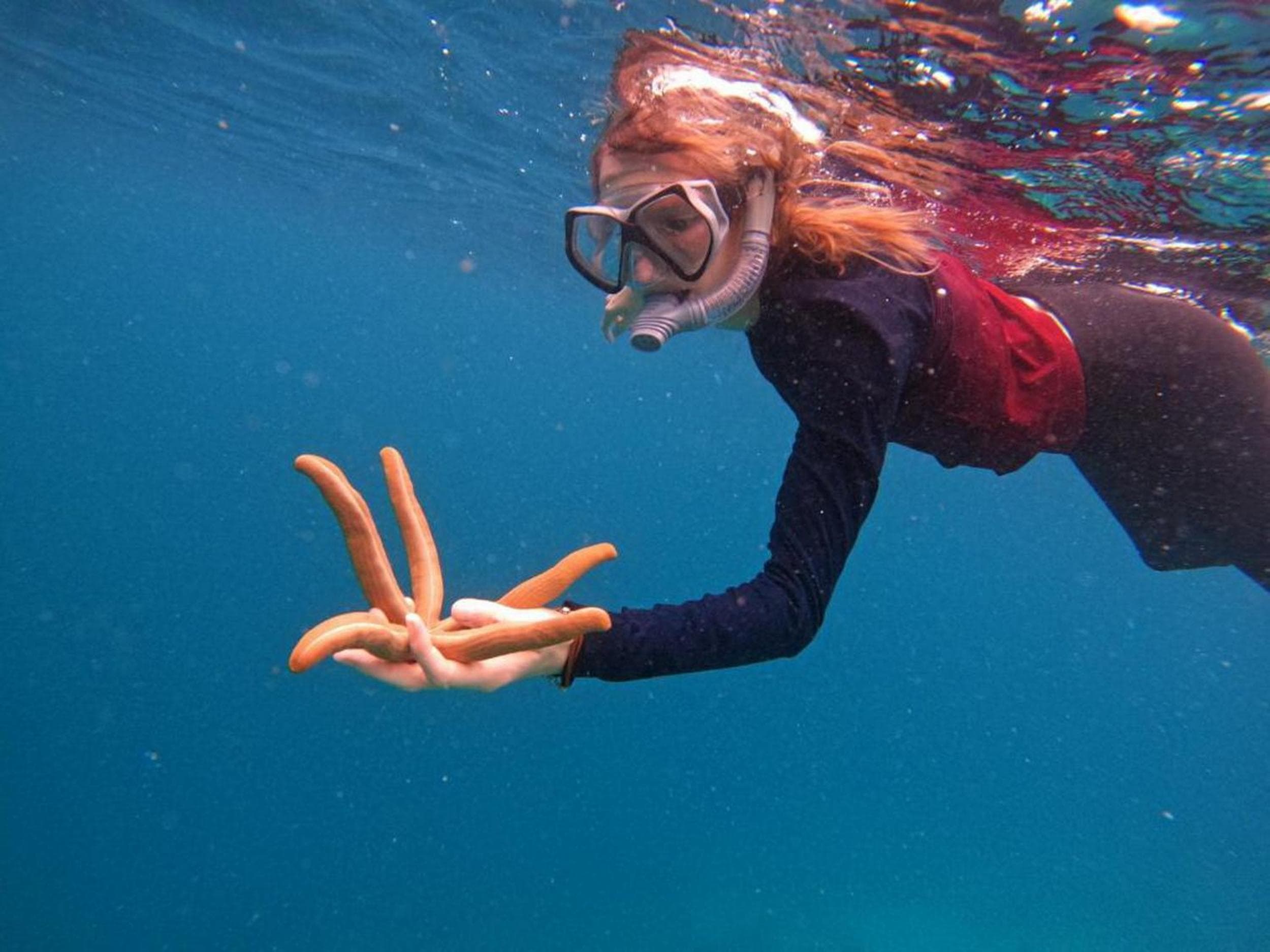 Adroit Beach Inn - View 288