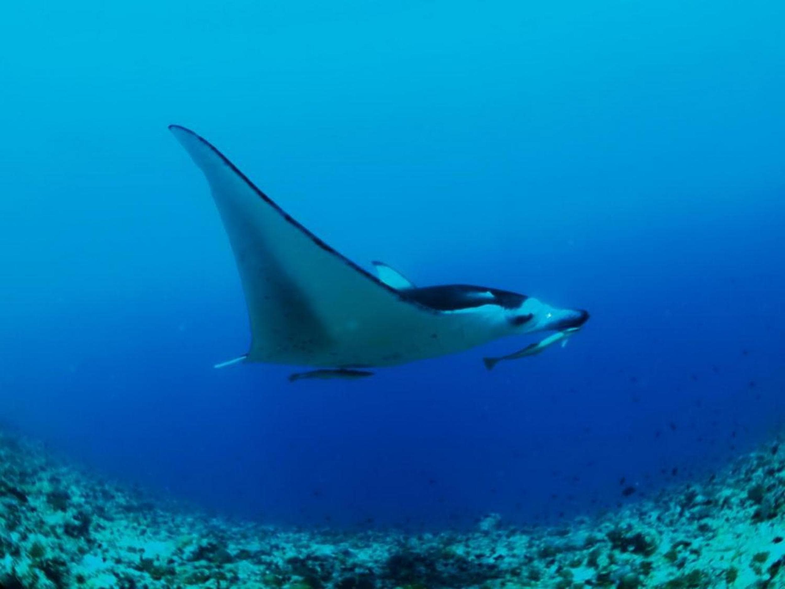 Adroit Beach Inn - View 77