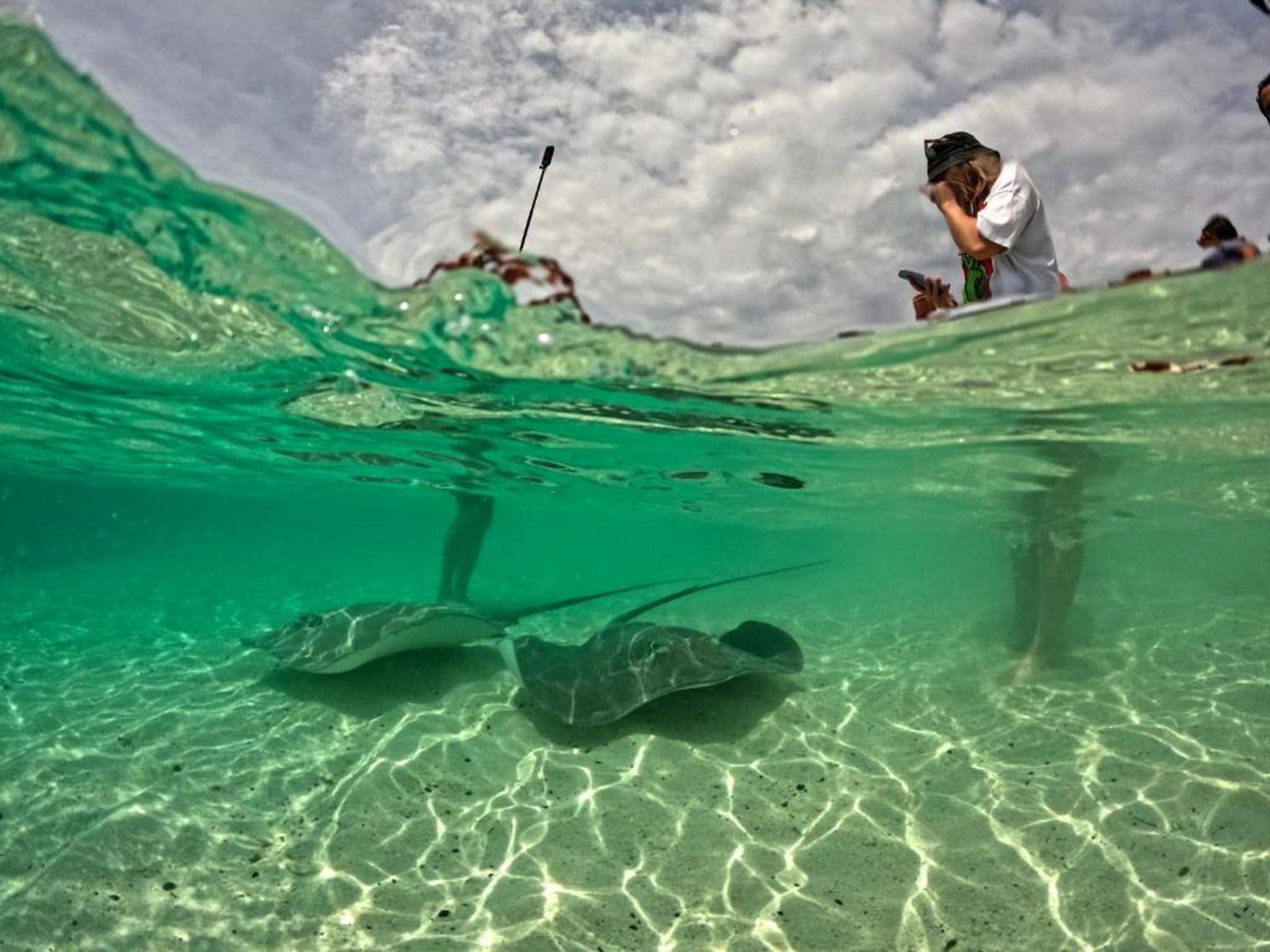 Adroit Beach Inn - View 133