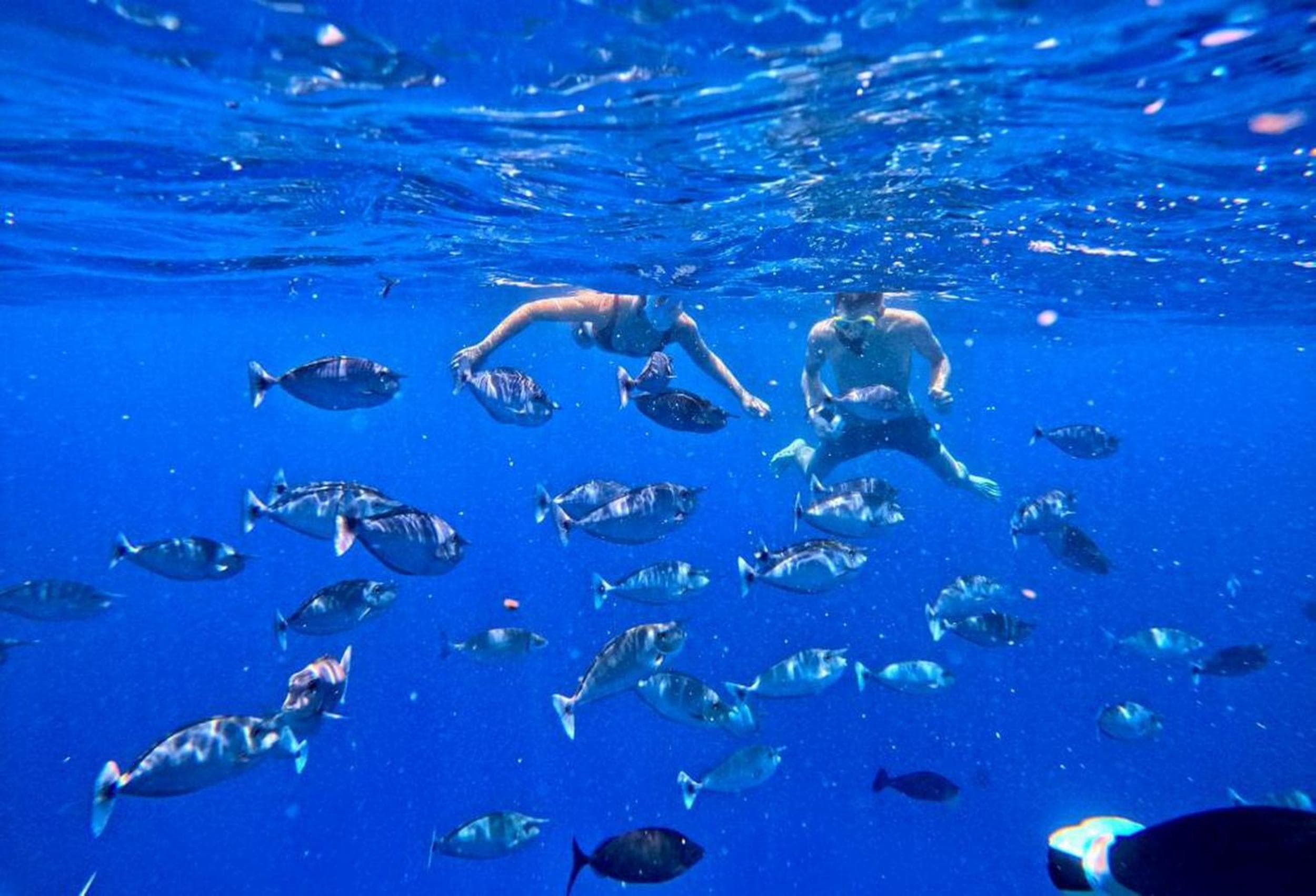 Adroit Beach Inn - View 34