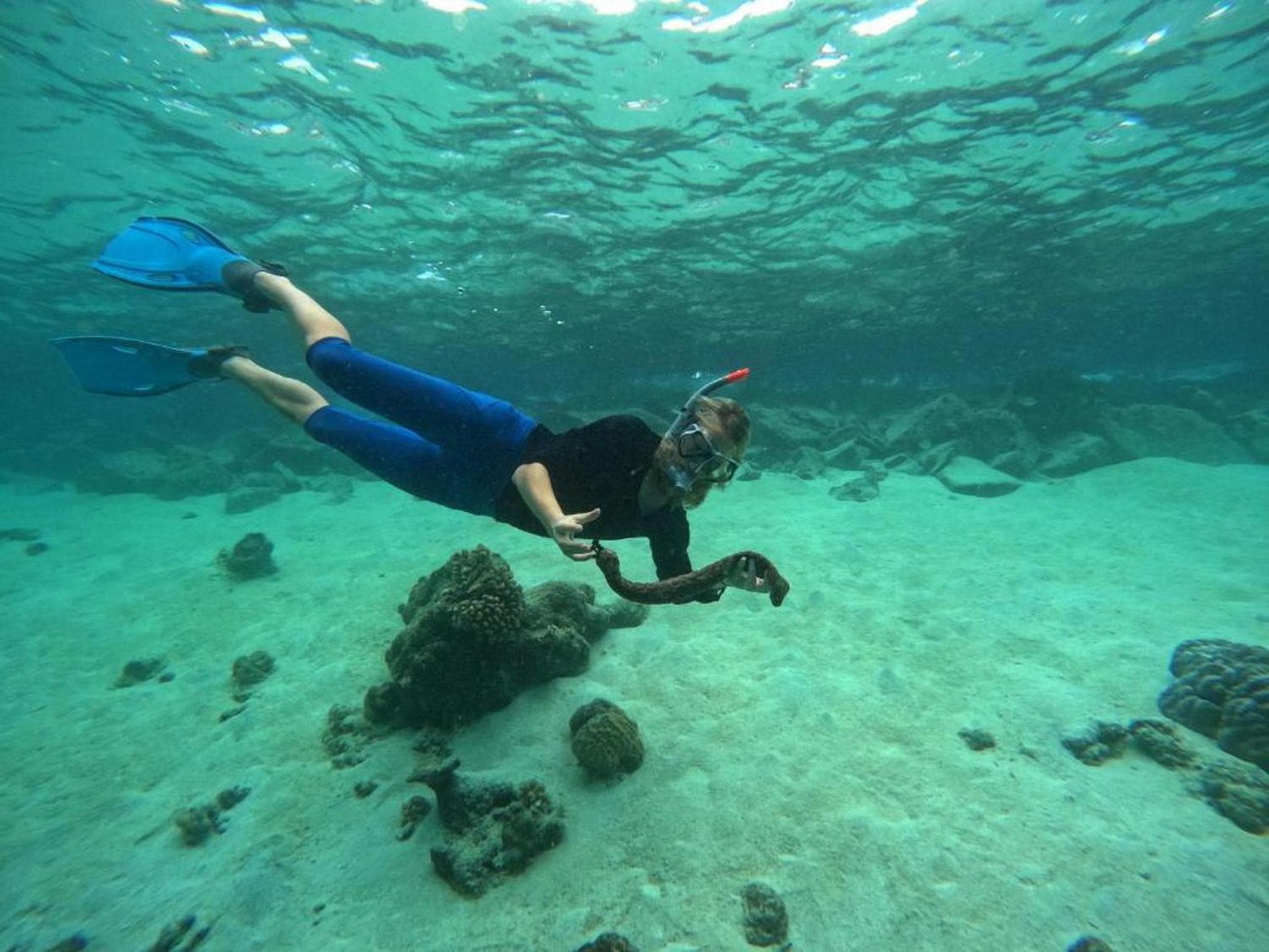 Adroit Beach Inn - View 40