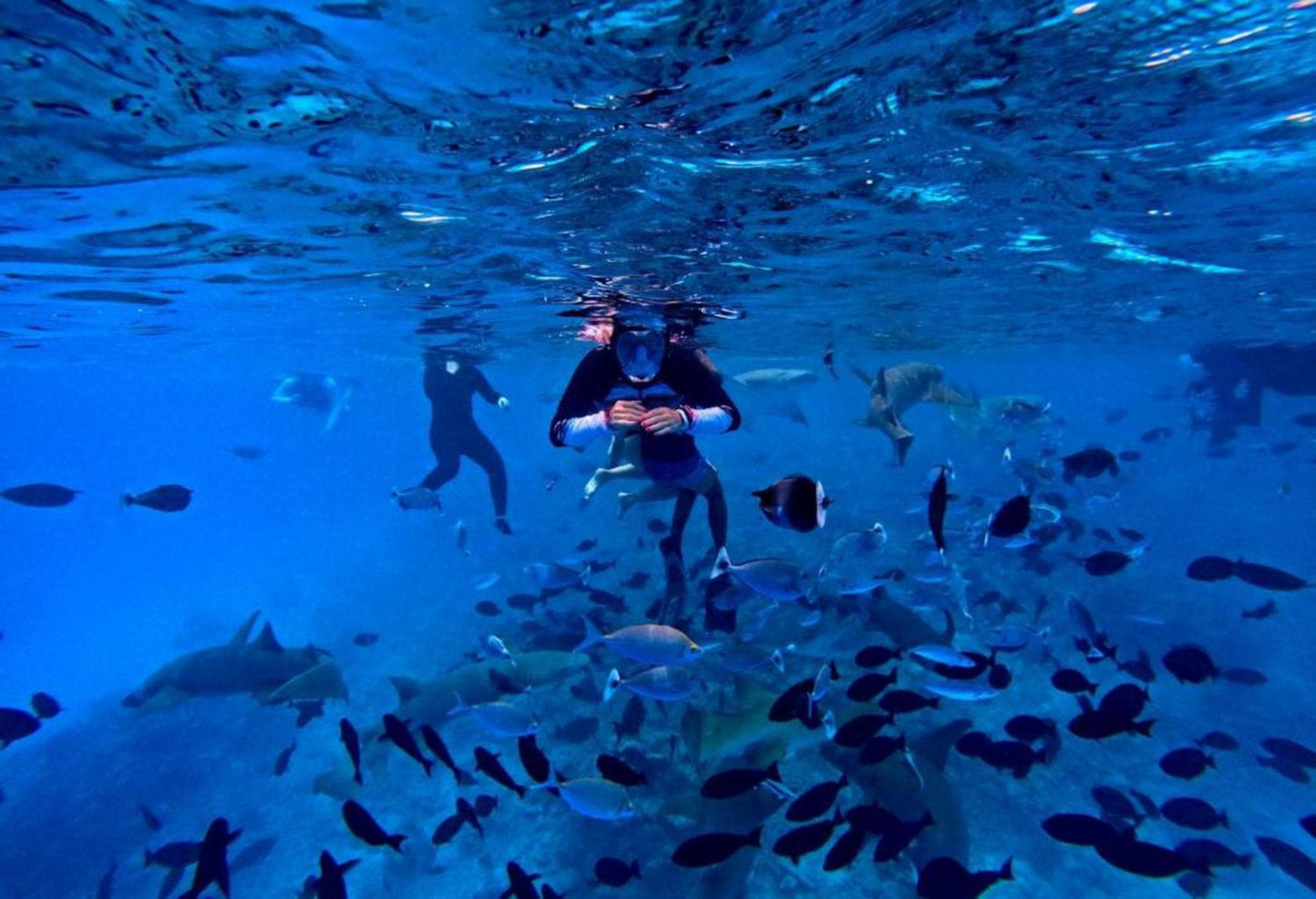 Adroit Beach Inn - View 91