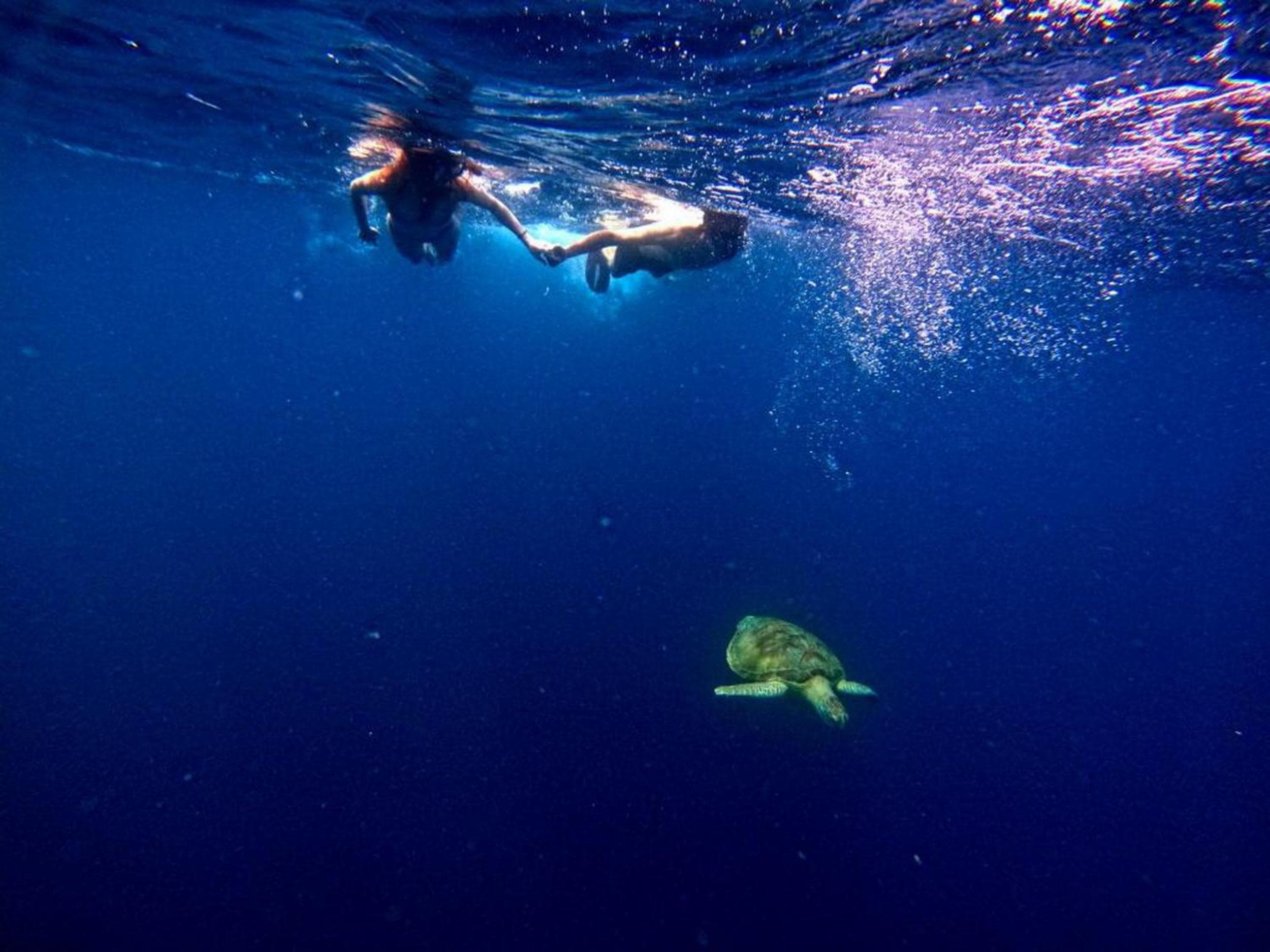 Adroit Beach Inn - View 260