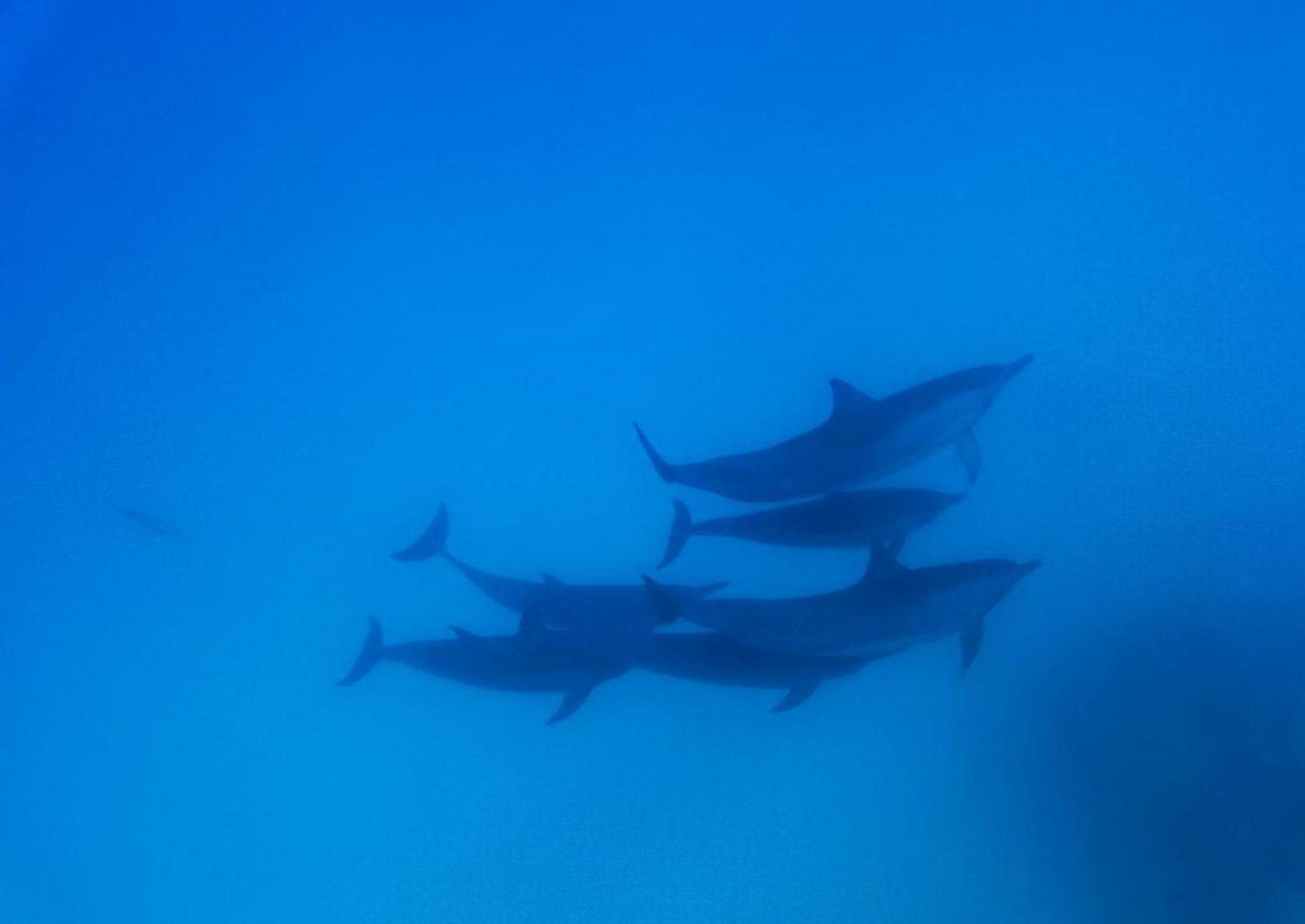 Adroit Beach Inn - View 105