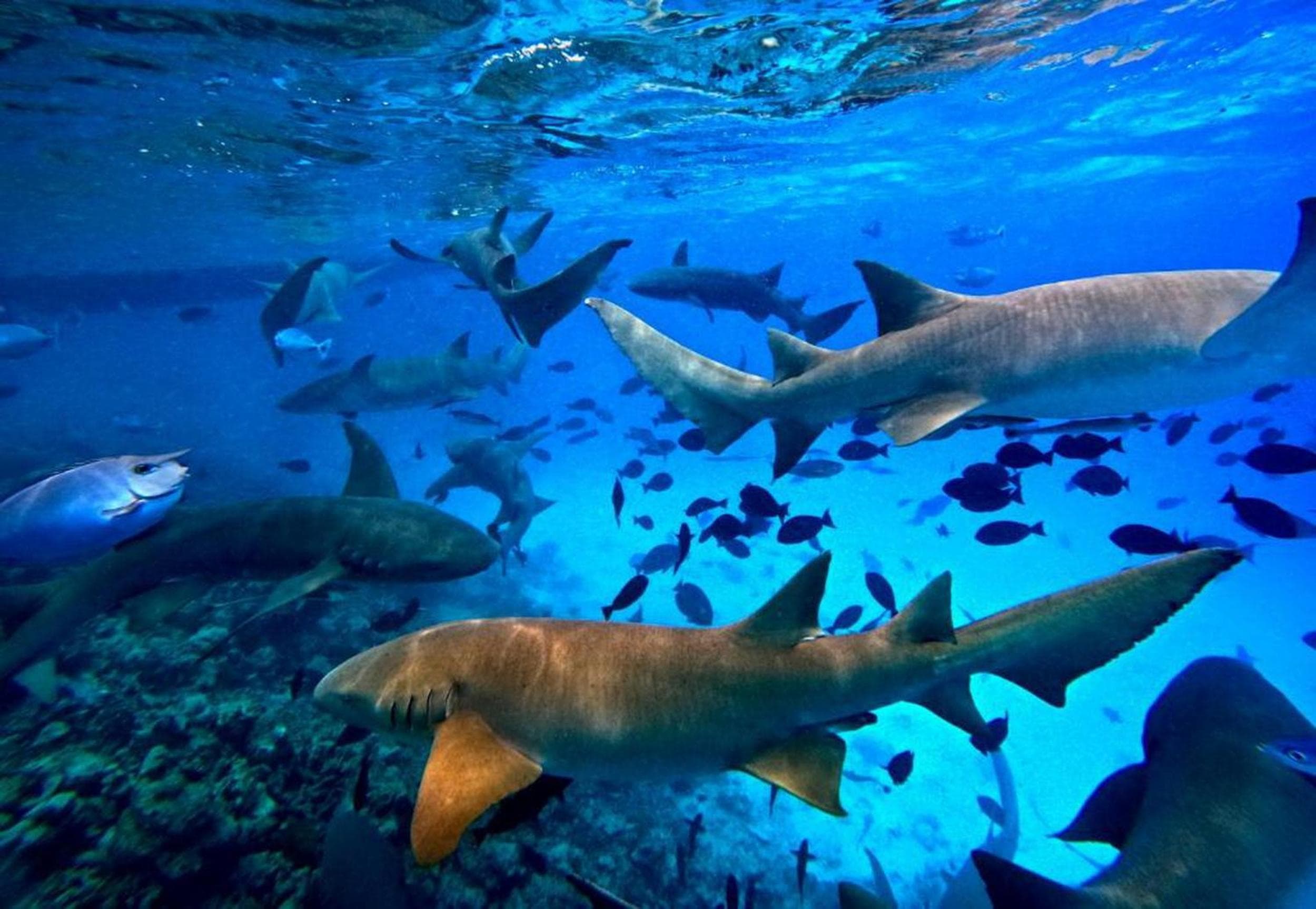 Adroit Beach Inn - View 107