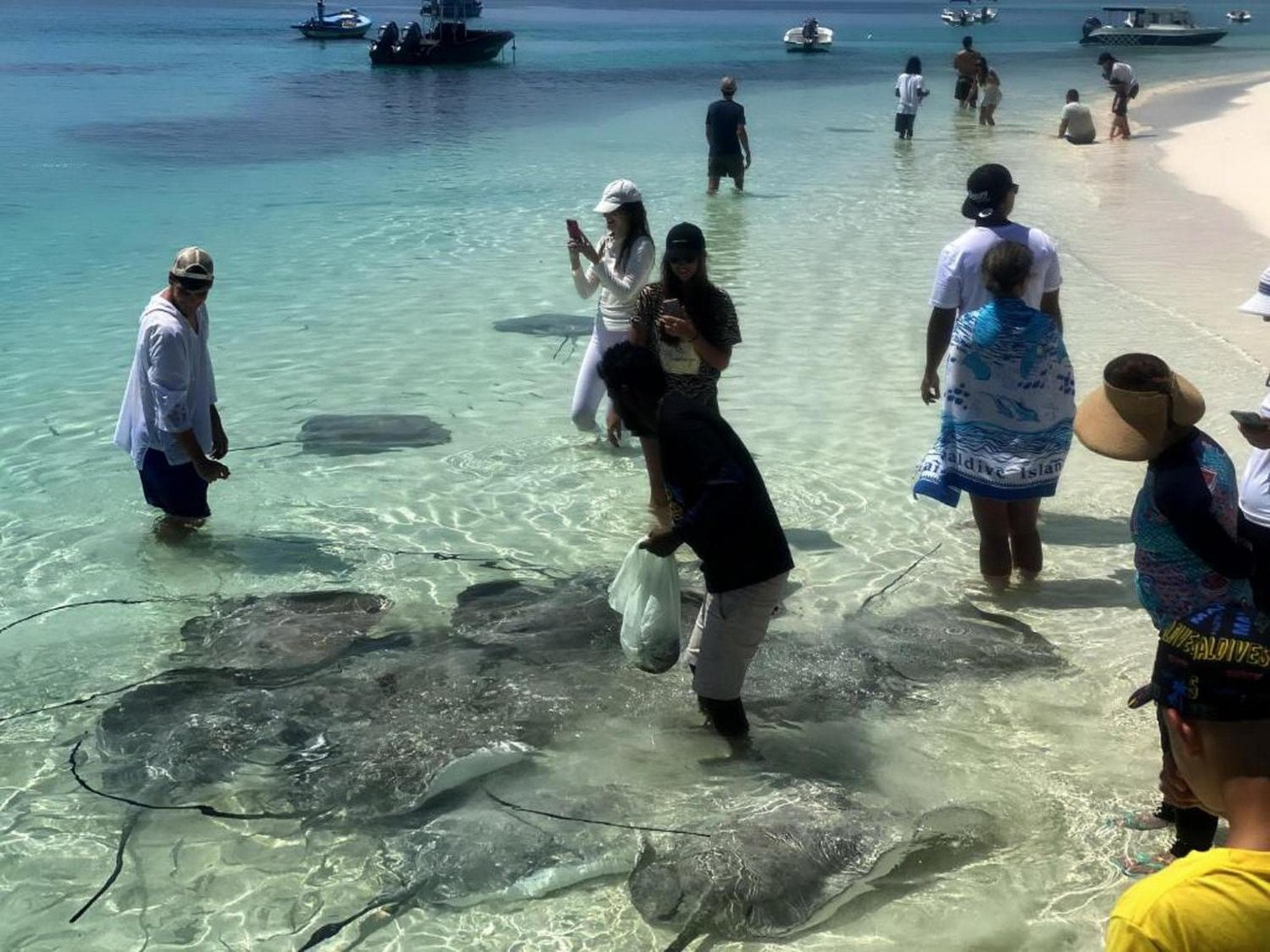 Adroit Beach Inn - View 95