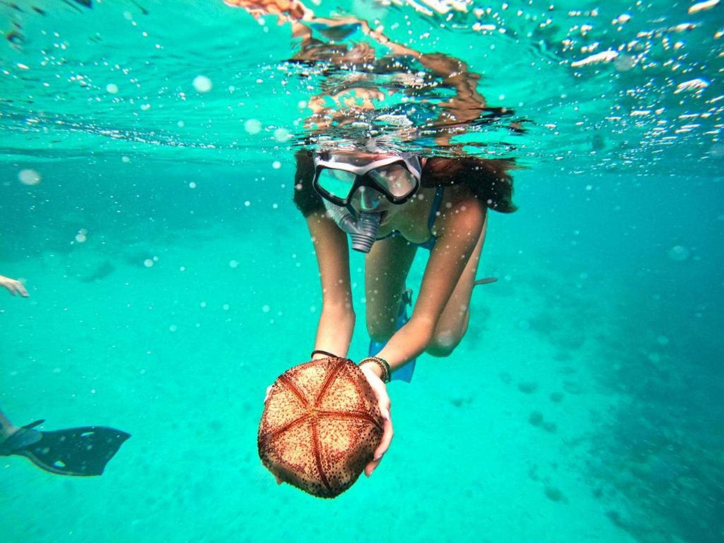 Adroit Beach Inn - View 51