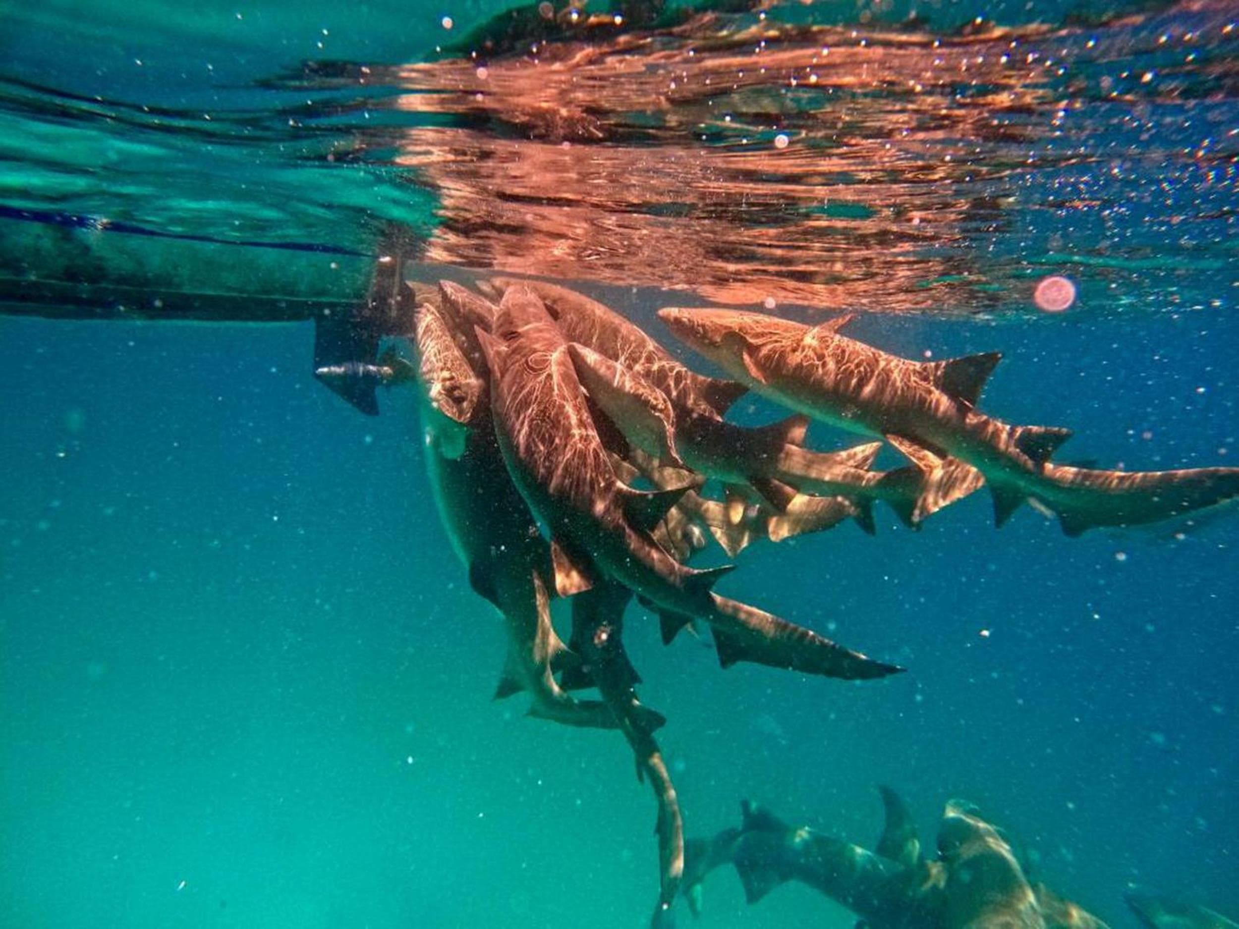 Adroit Beach Inn - View 35