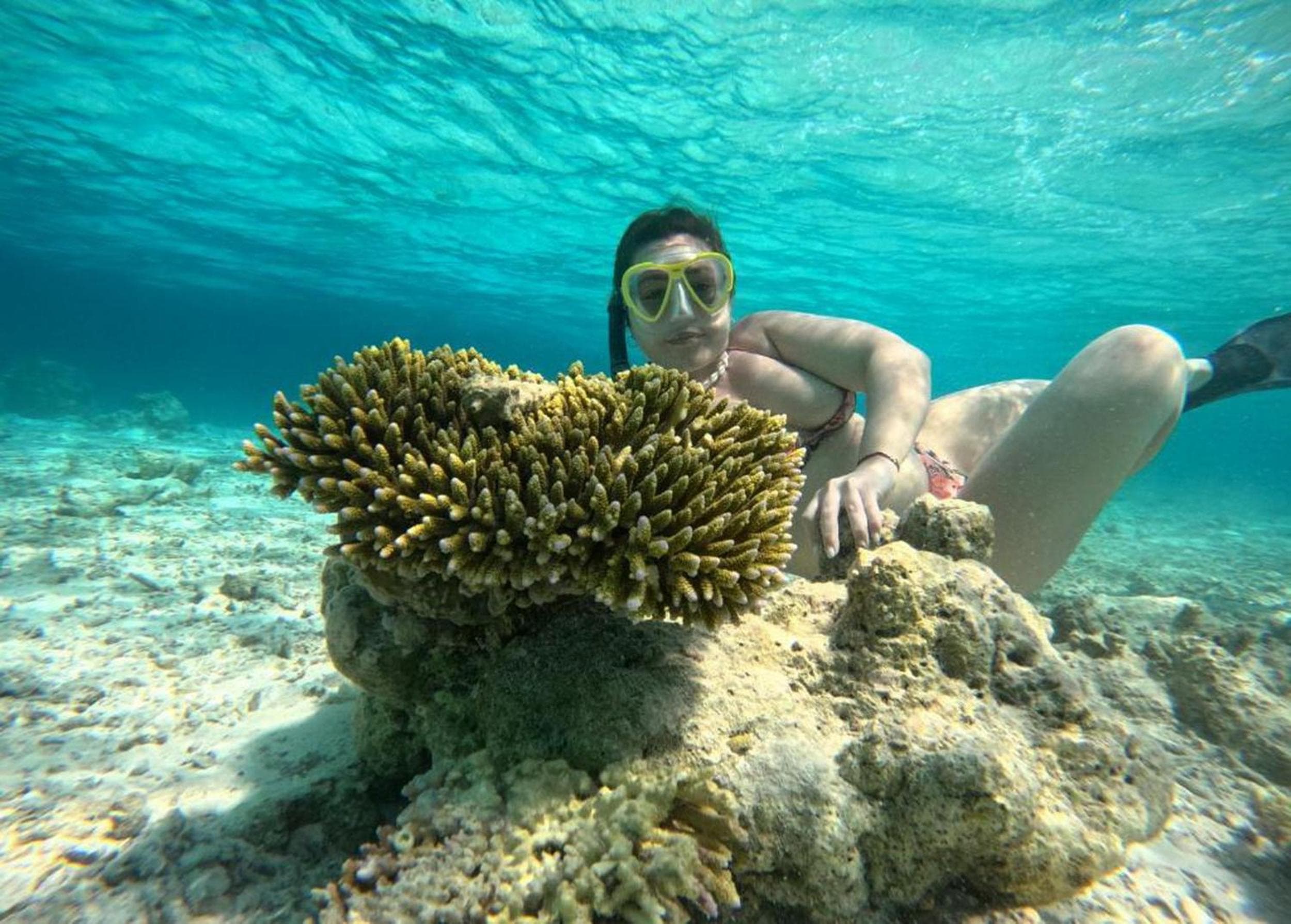 Adroit Beach Inn - View 274