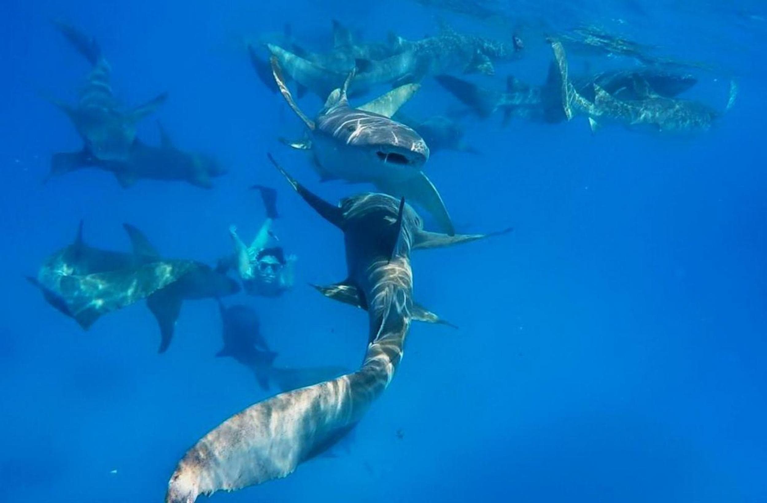 Adroit Beach Inn - View 135