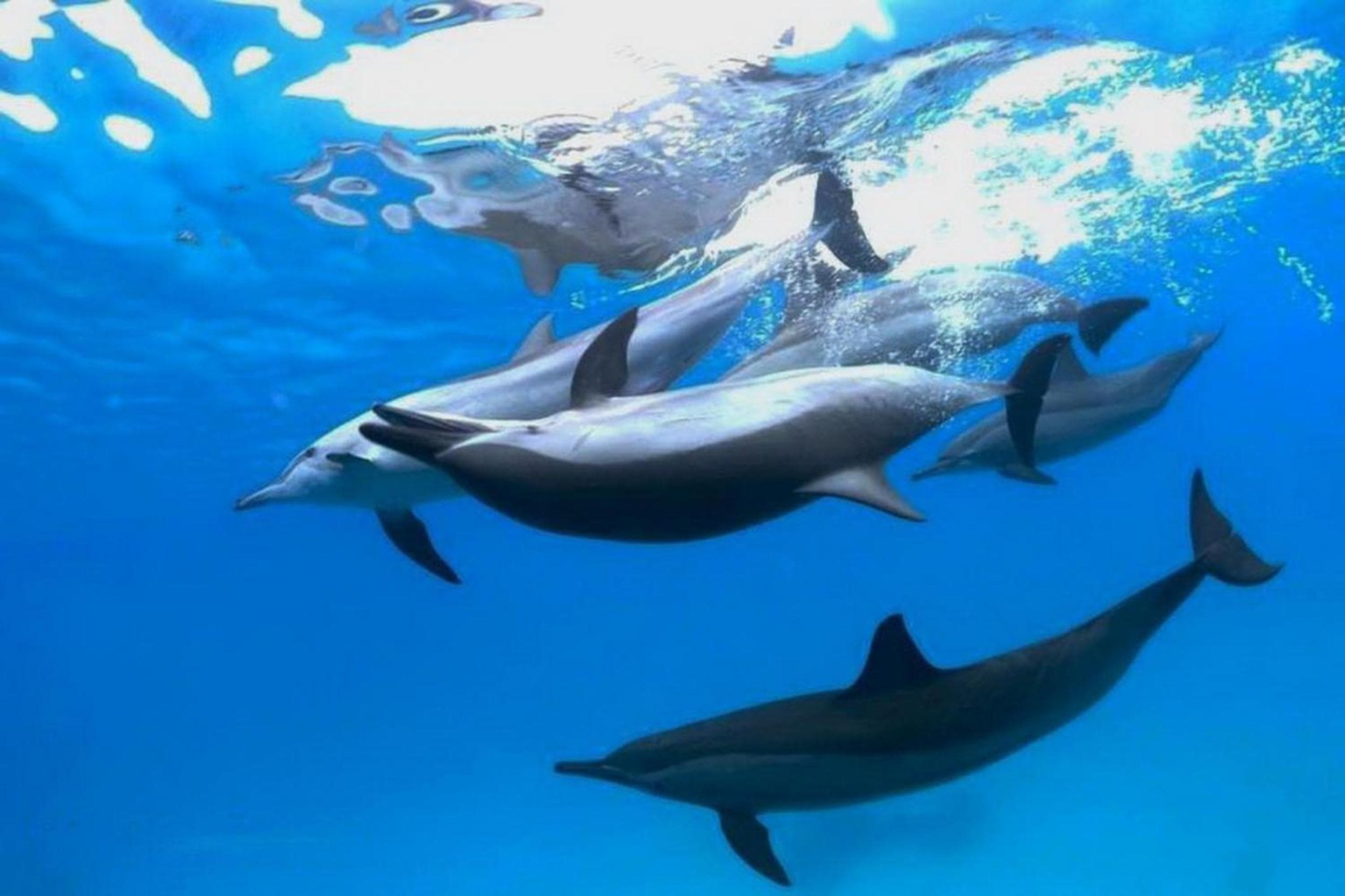 Adroit Beach Inn - View 66