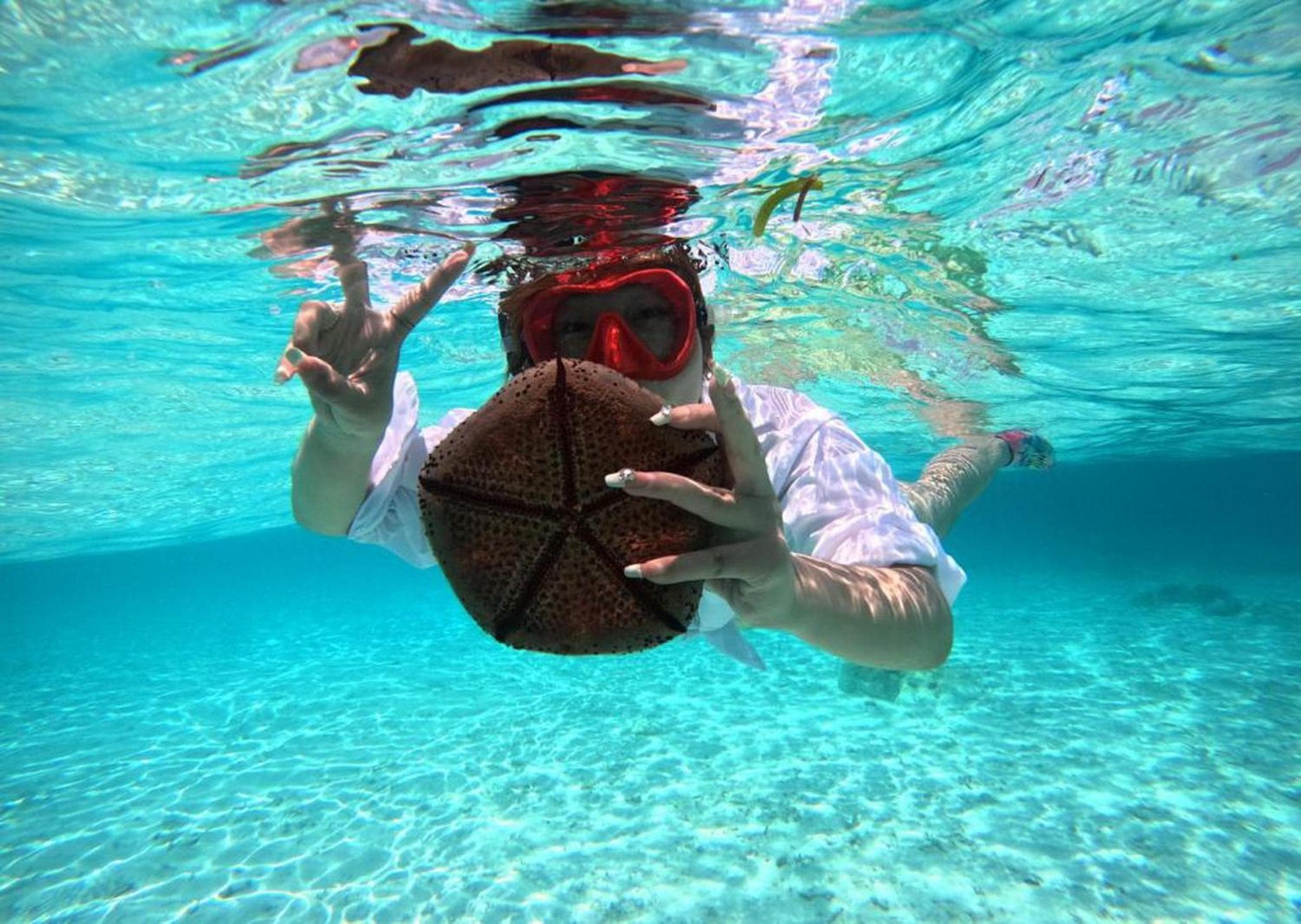 Adroit Beach Inn - View 115