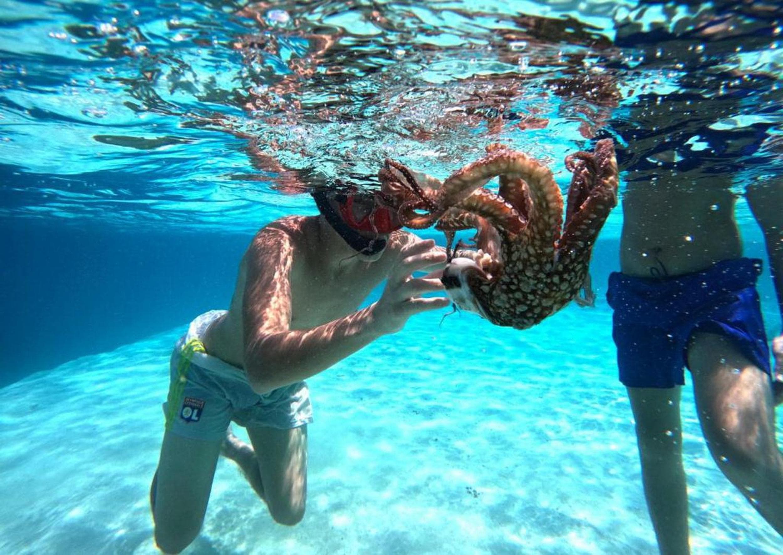 Adroit Beach Inn - View 259