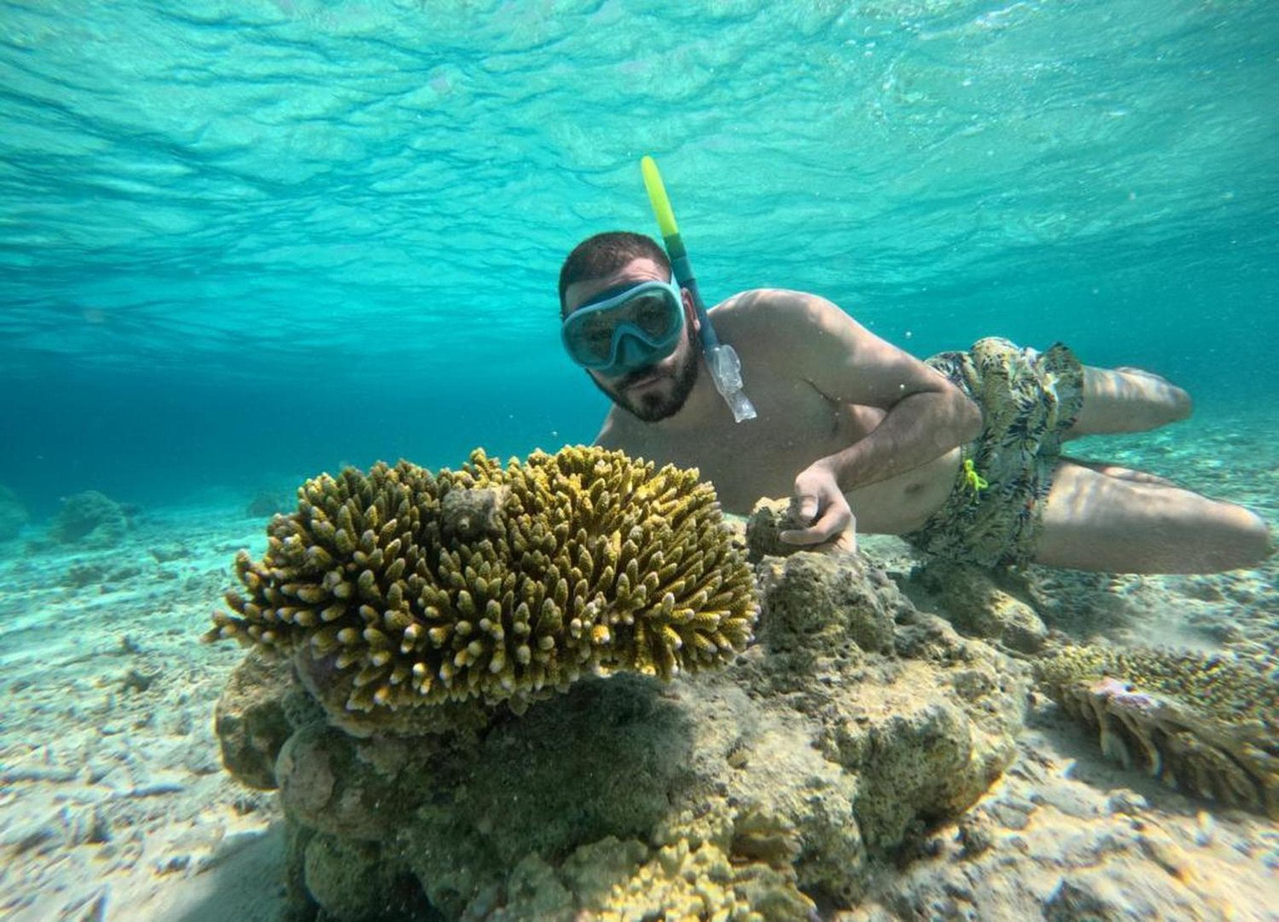 Adroit Beach Inn - View 137