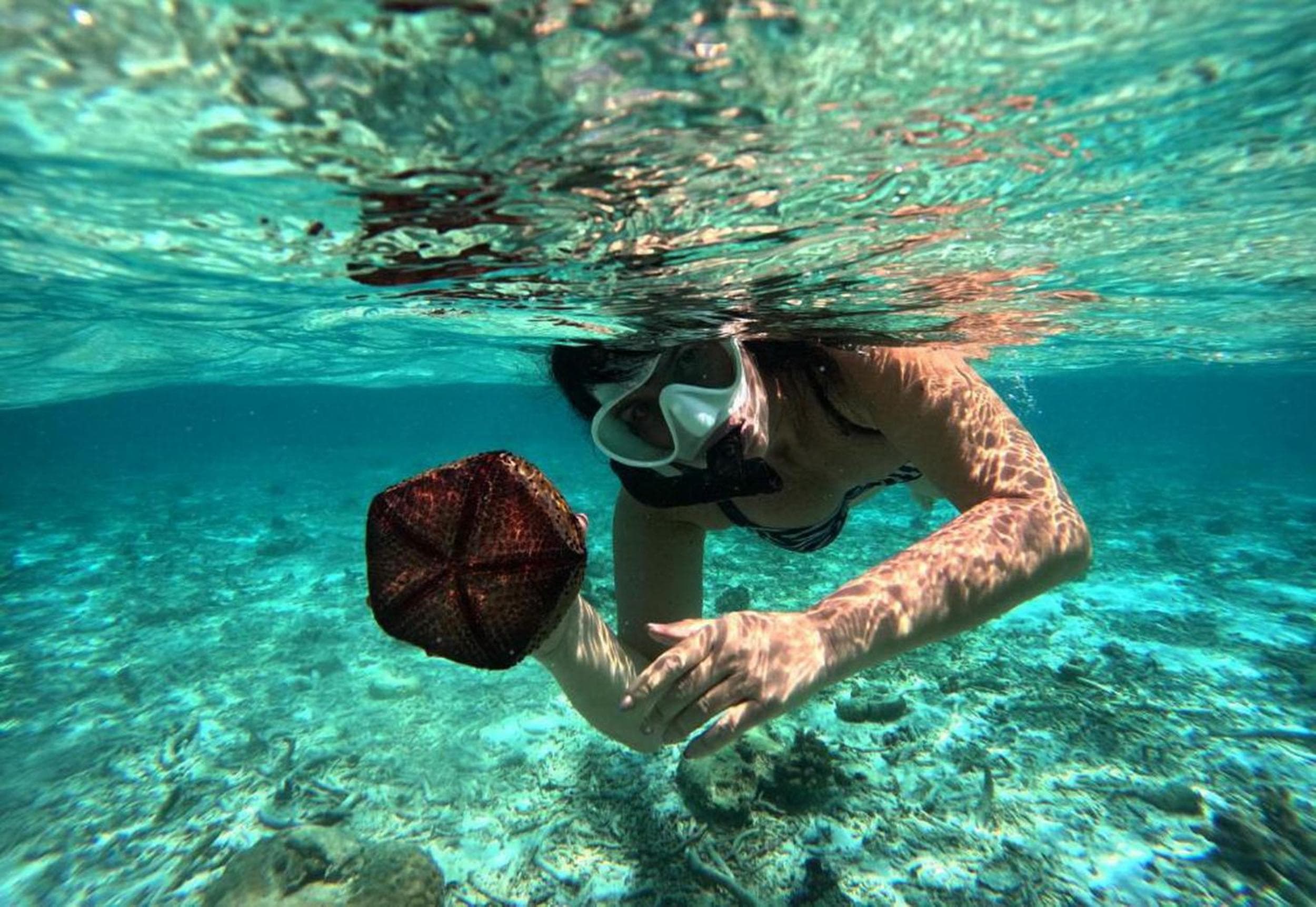 Adroit Beach Inn - View 38