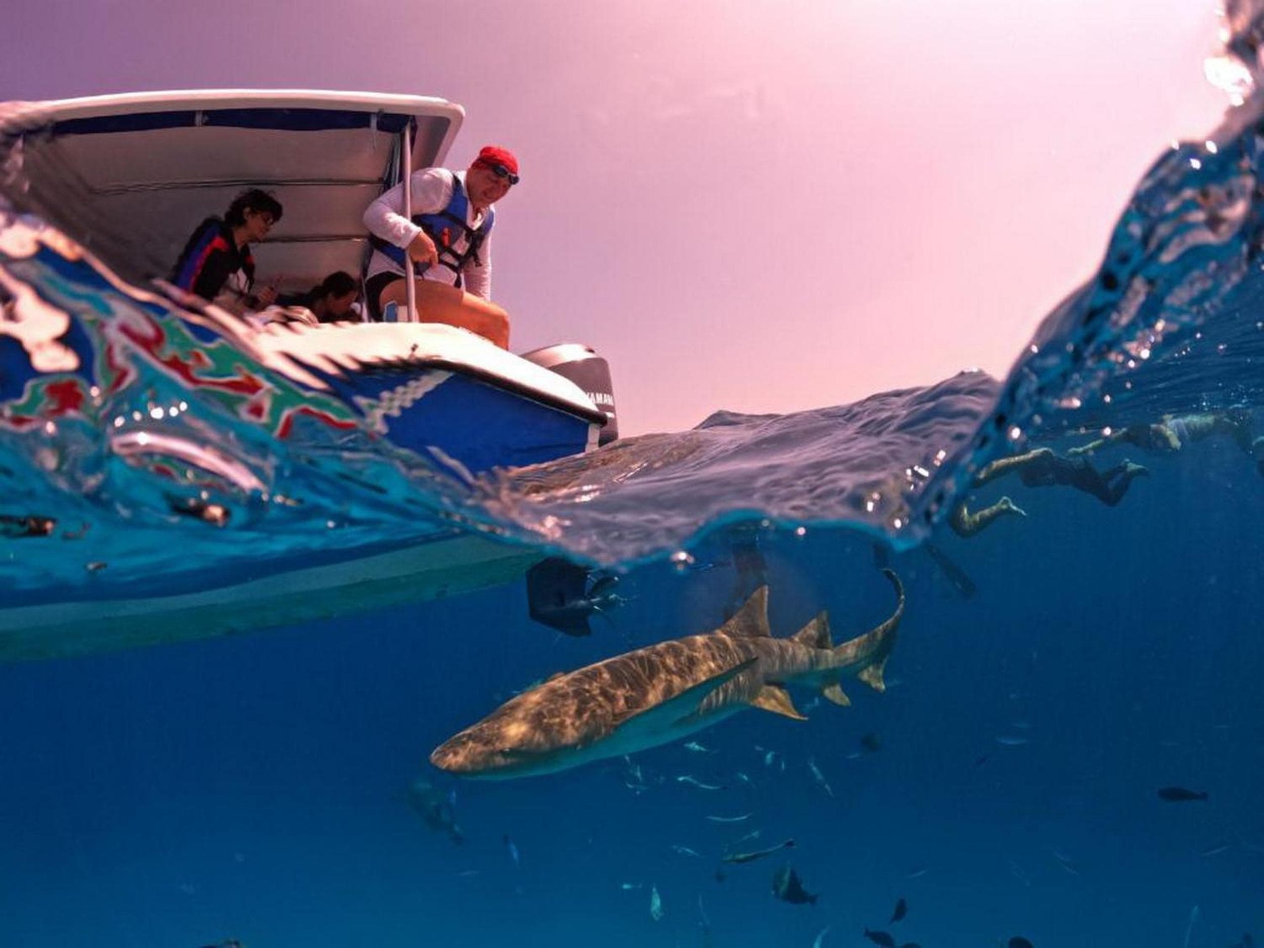 Adroit Beach Inn - View 123