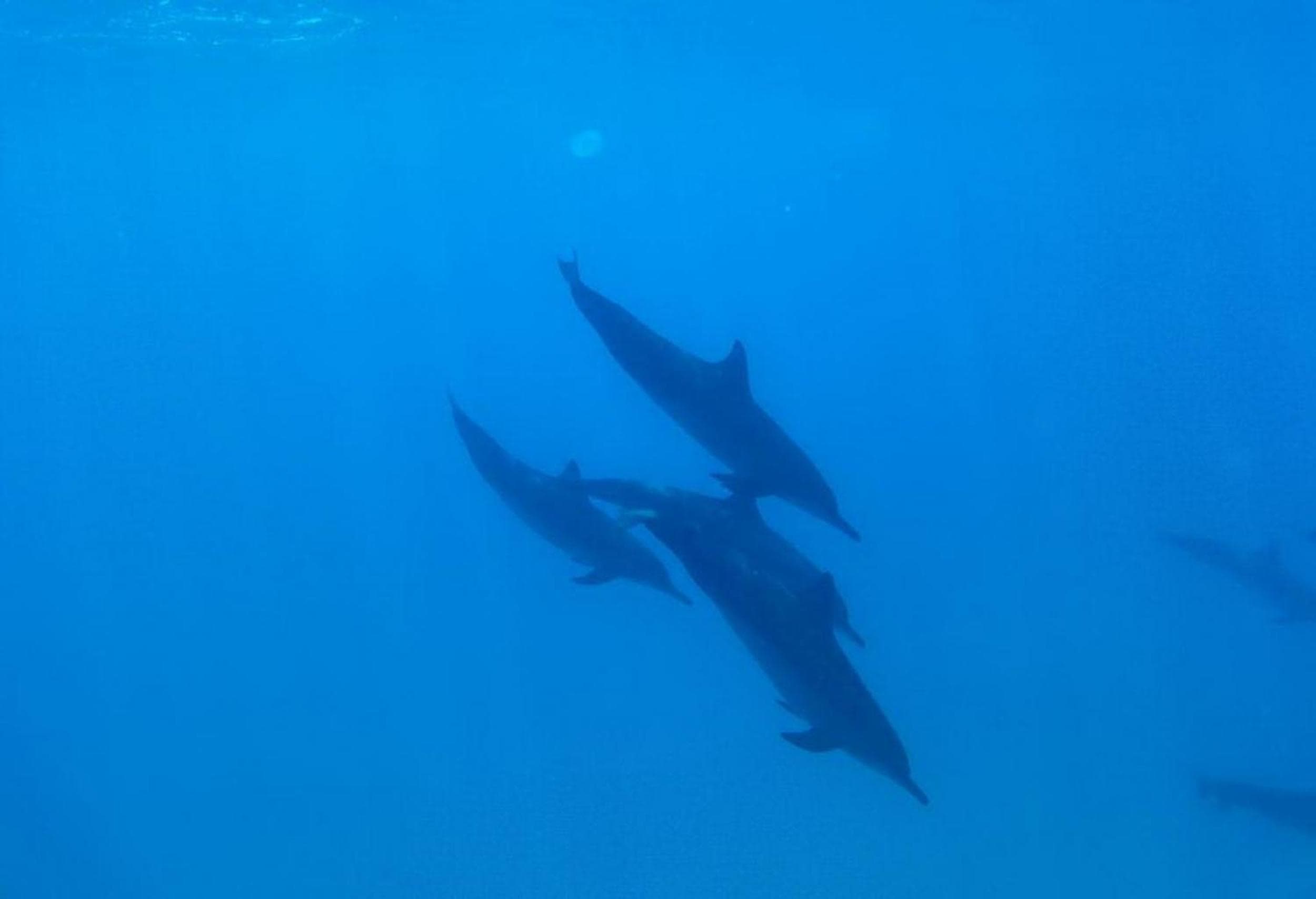 Adroit Beach Inn - View 118