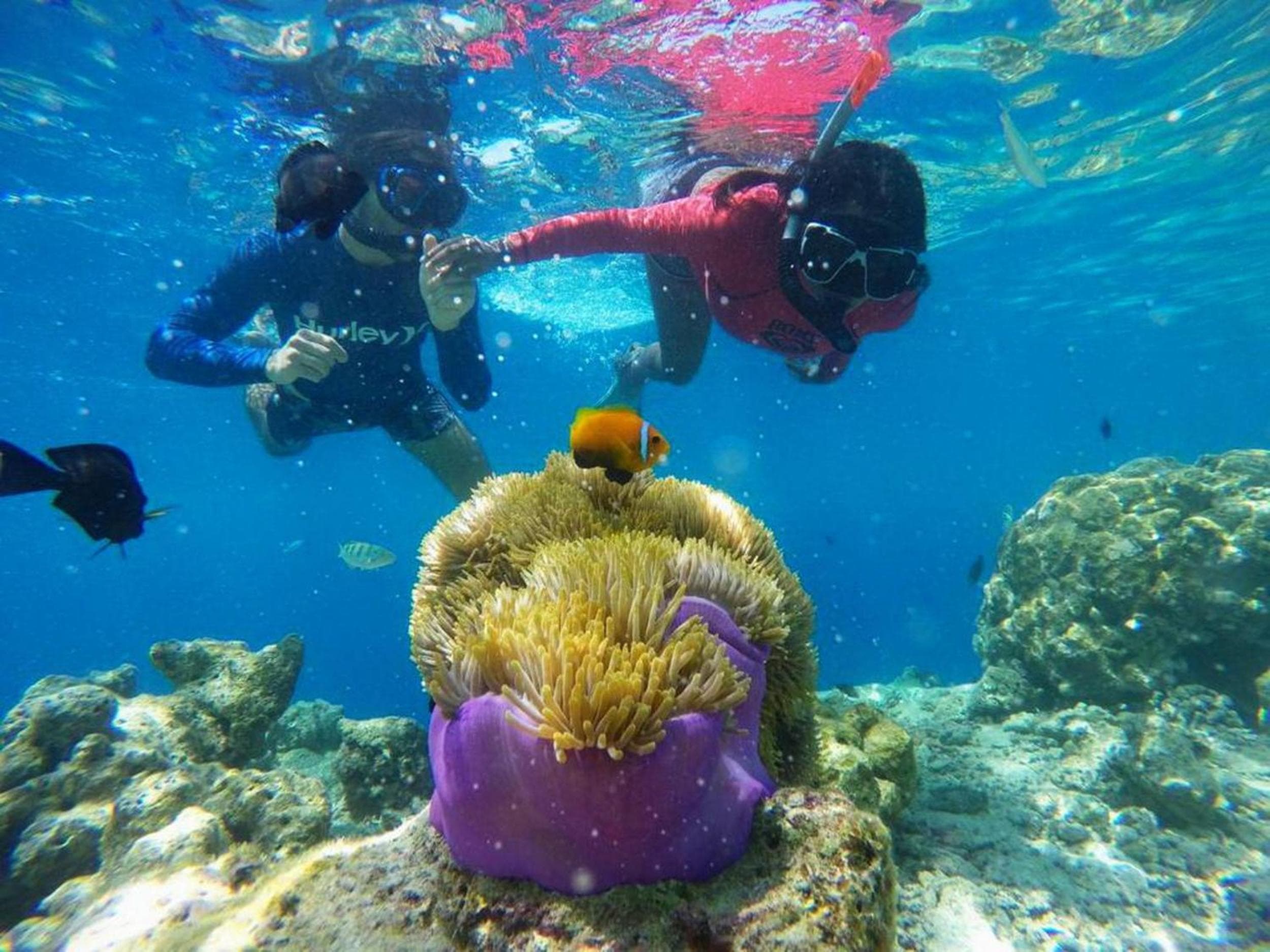 Adroit Beach Inn - View 42