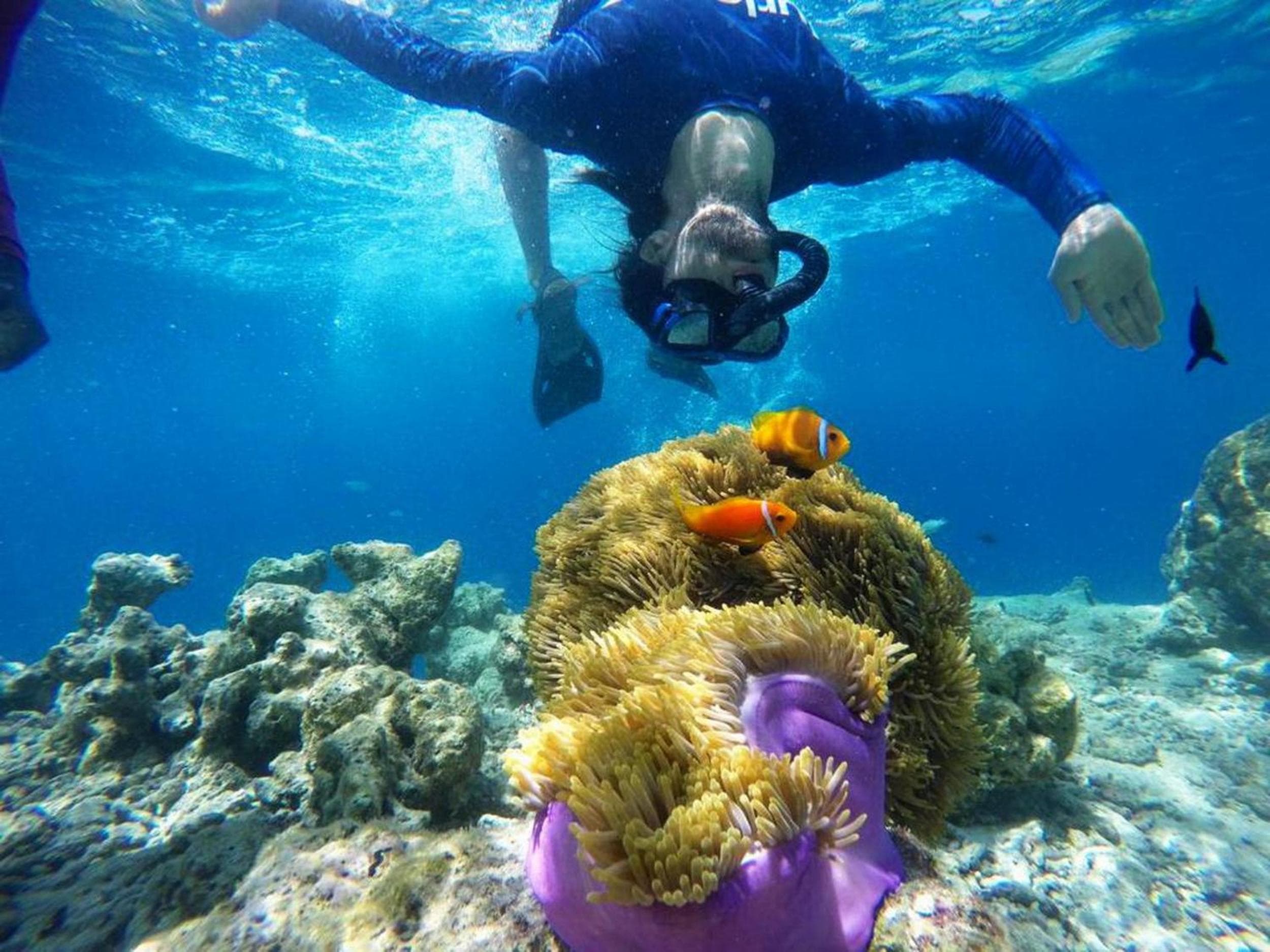 Adroit Beach Inn - View 50