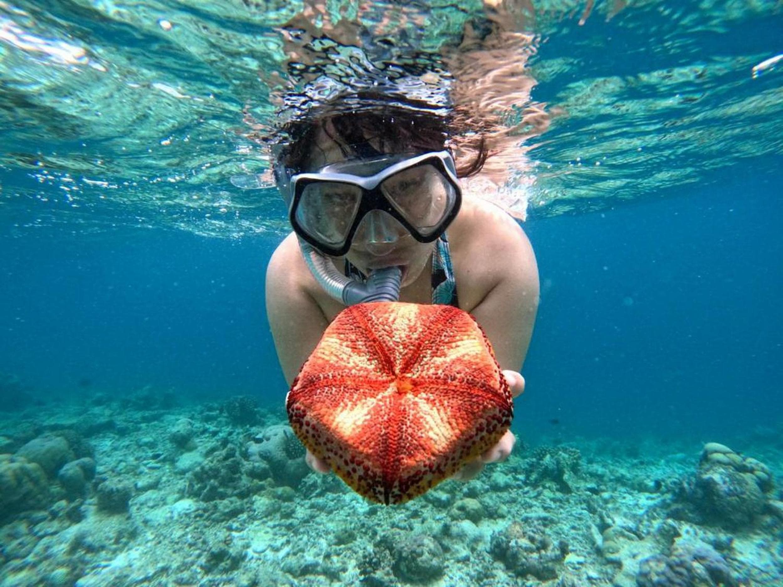 Adroit Beach Inn - View 26