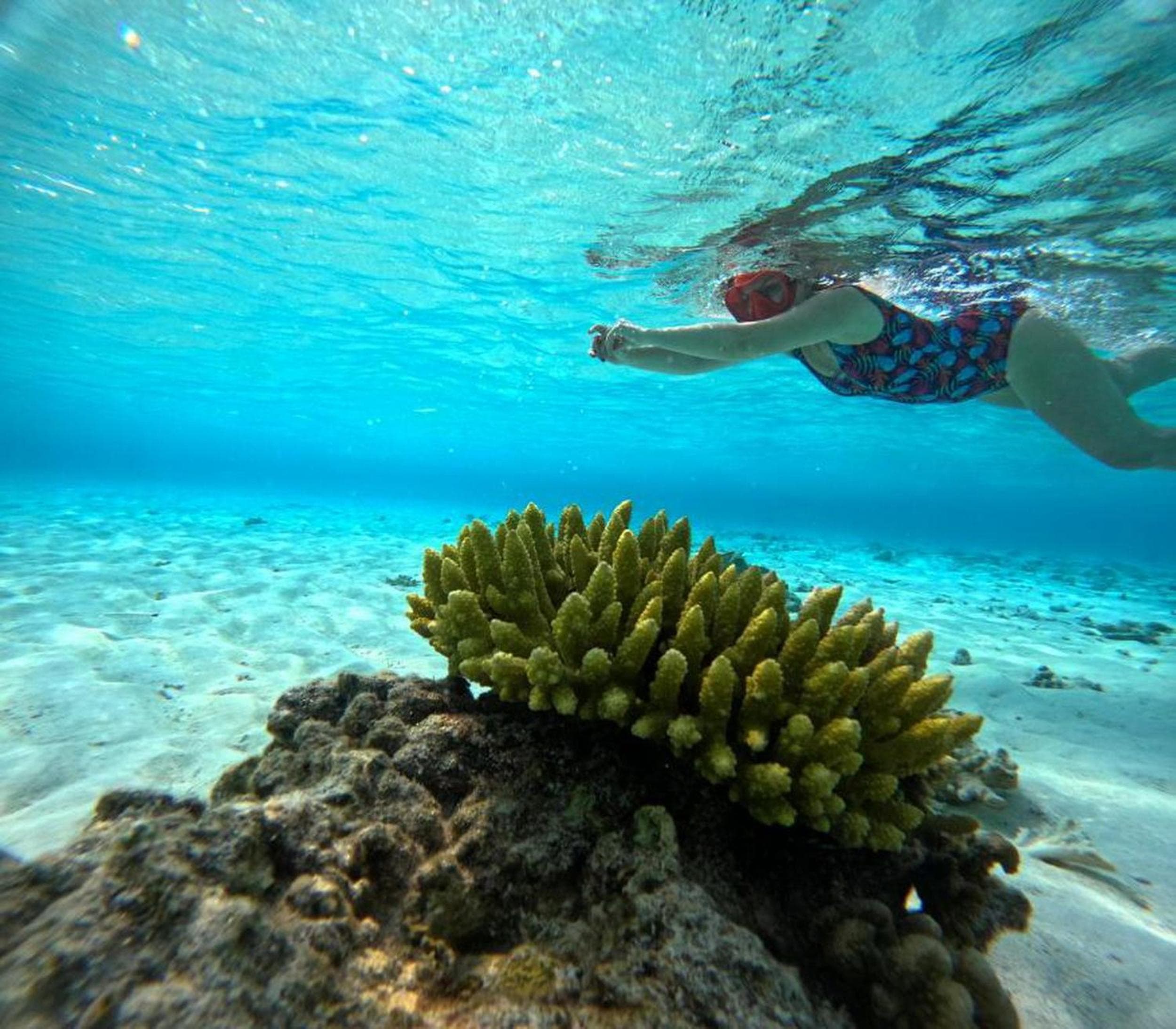 Adroit Beach Inn - View 12