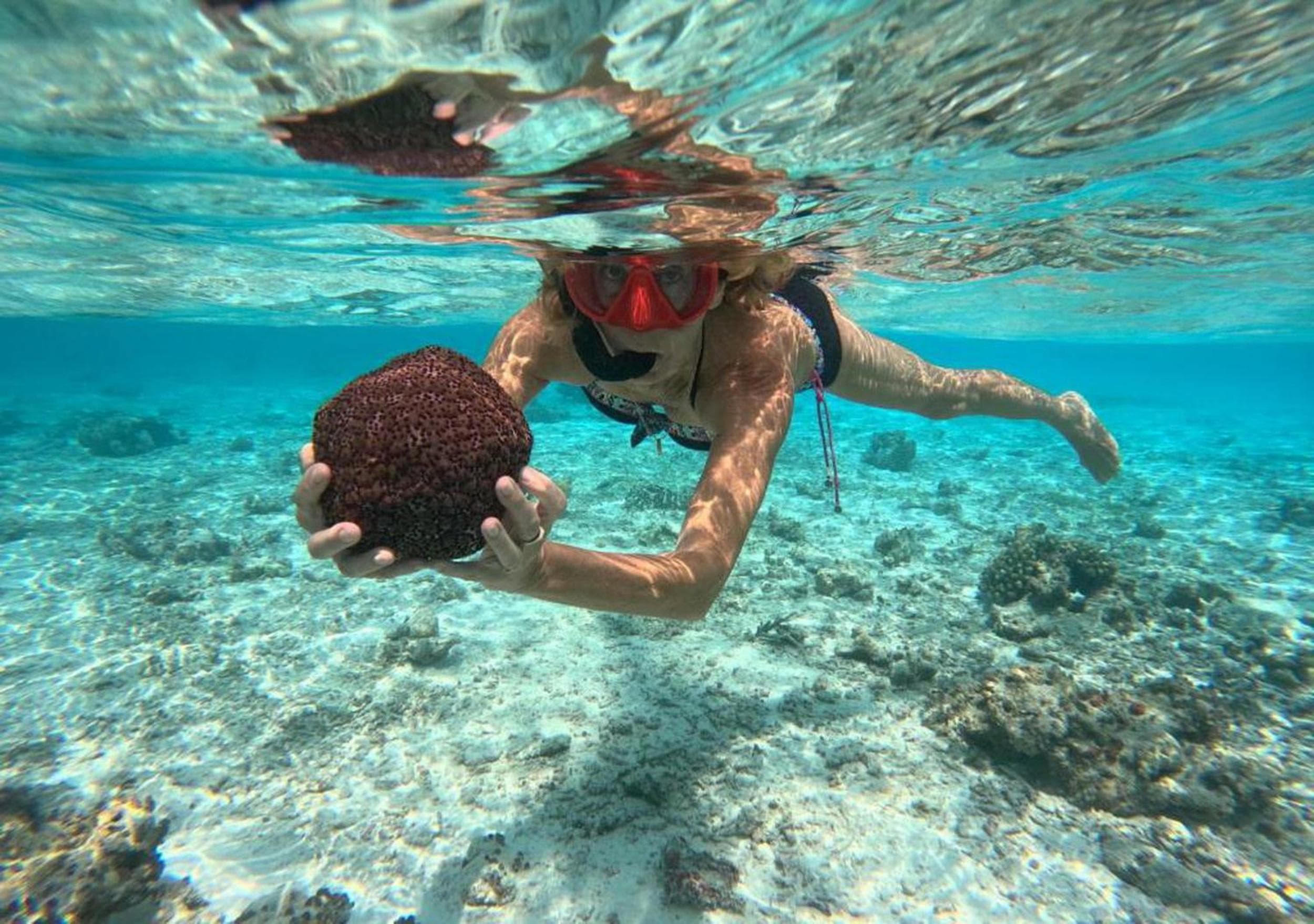 Adroit Beach Inn - View 10