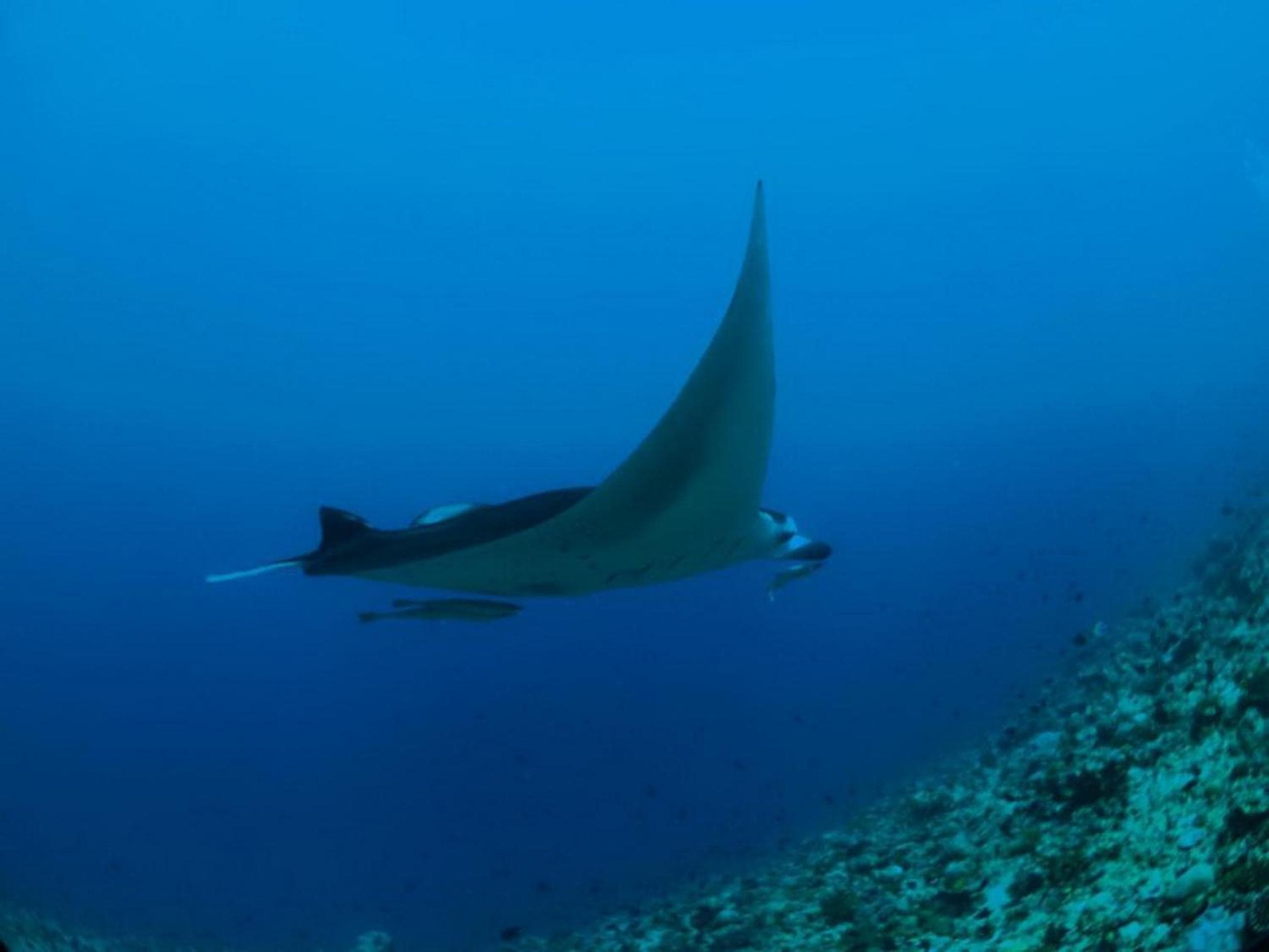 Adroit Beach Inn - View 76