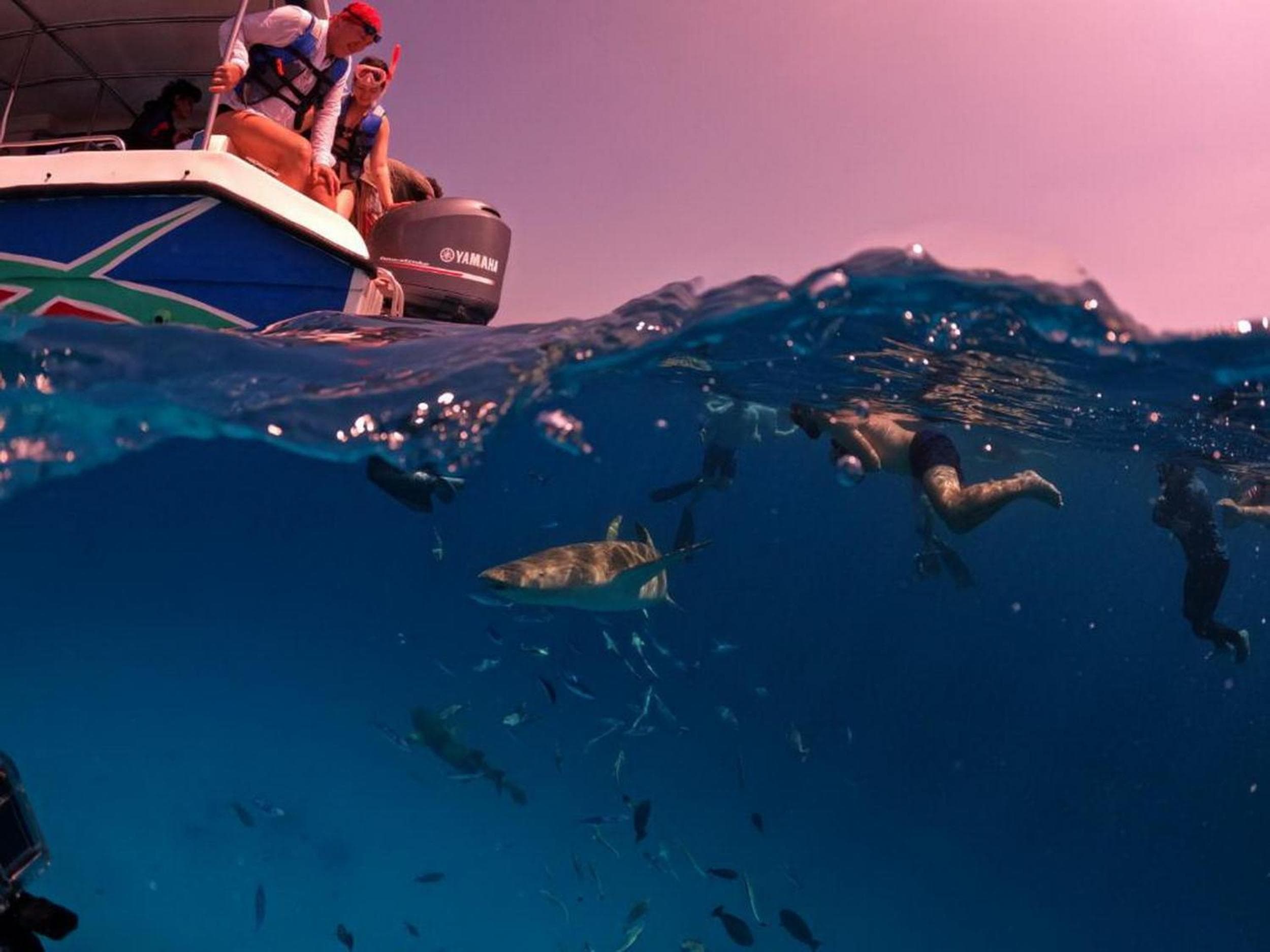 Adroit Beach Inn - View 125