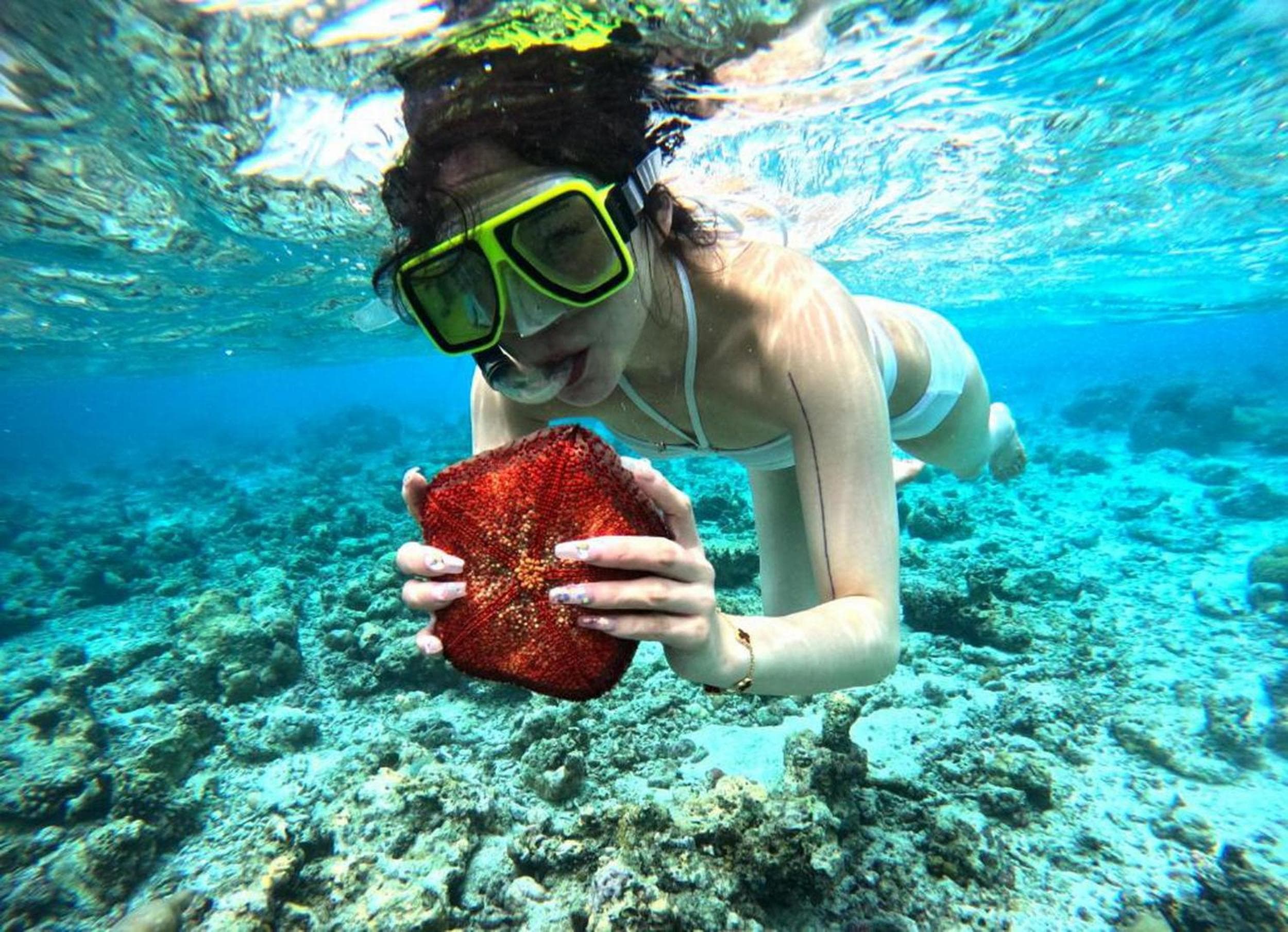 Adroit Beach Inn - View 272