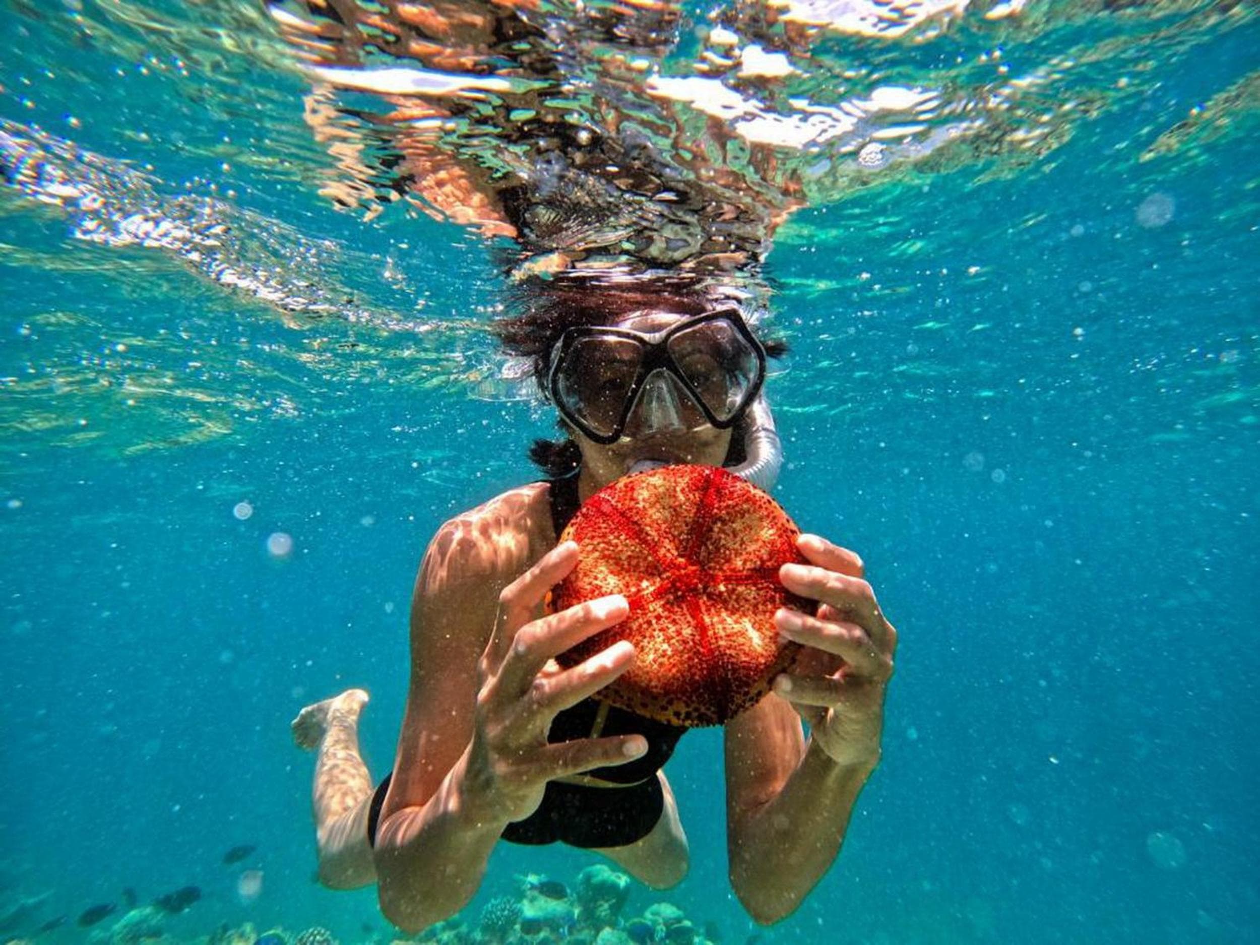 Adroit Beach Inn - View 48