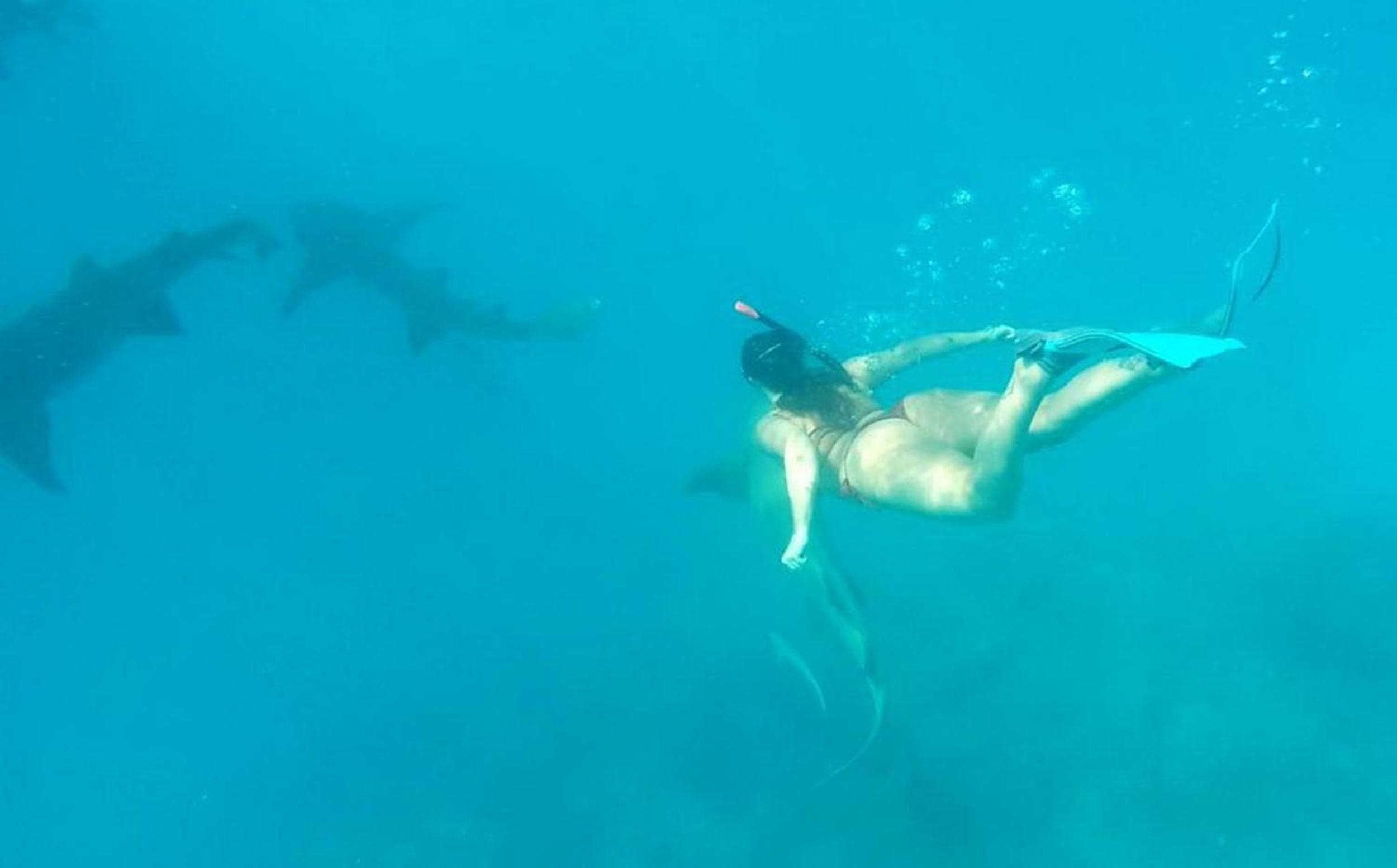 Adroit Beach Inn - View 127