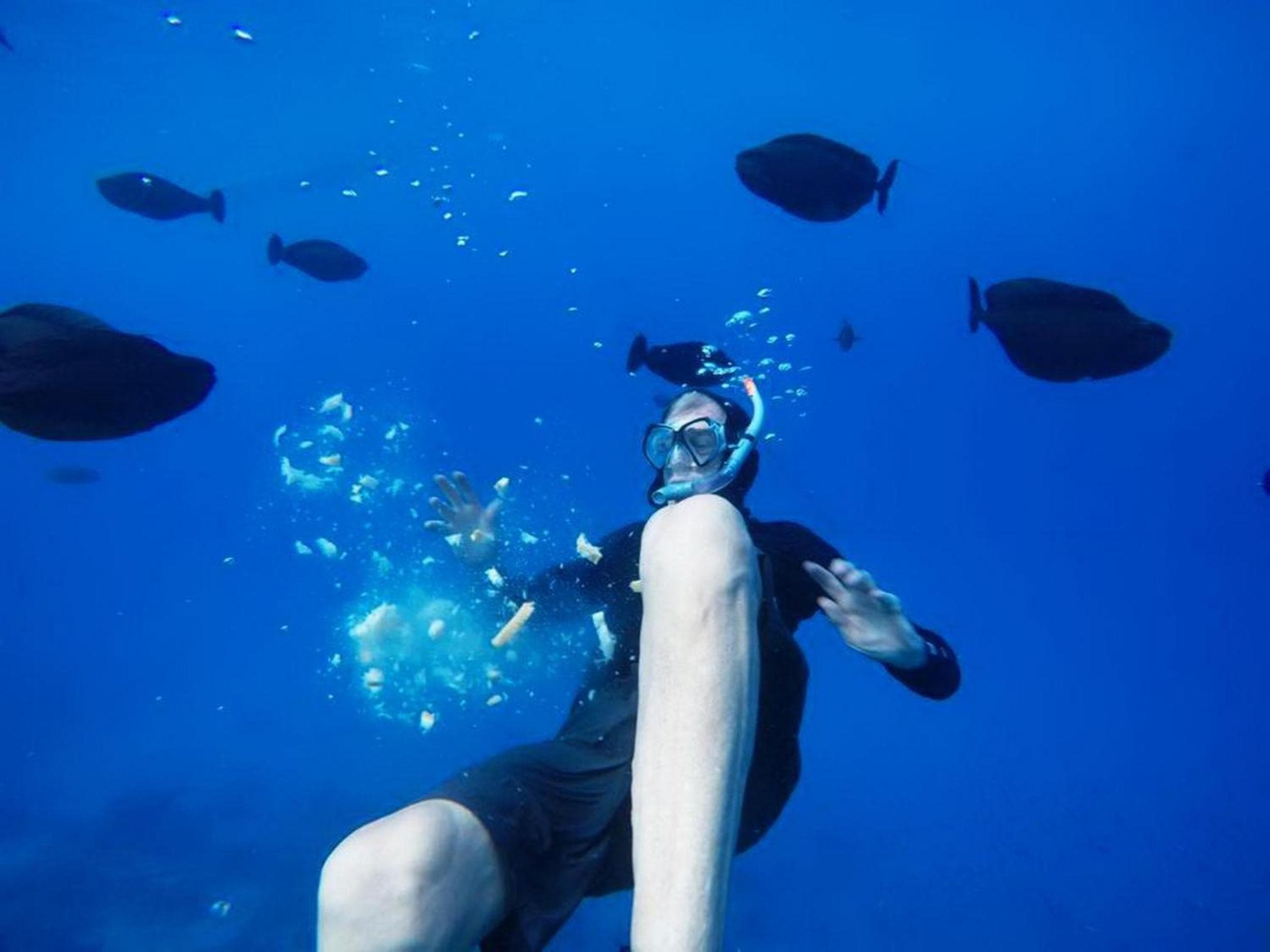 Adroit Beach Inn - View 121