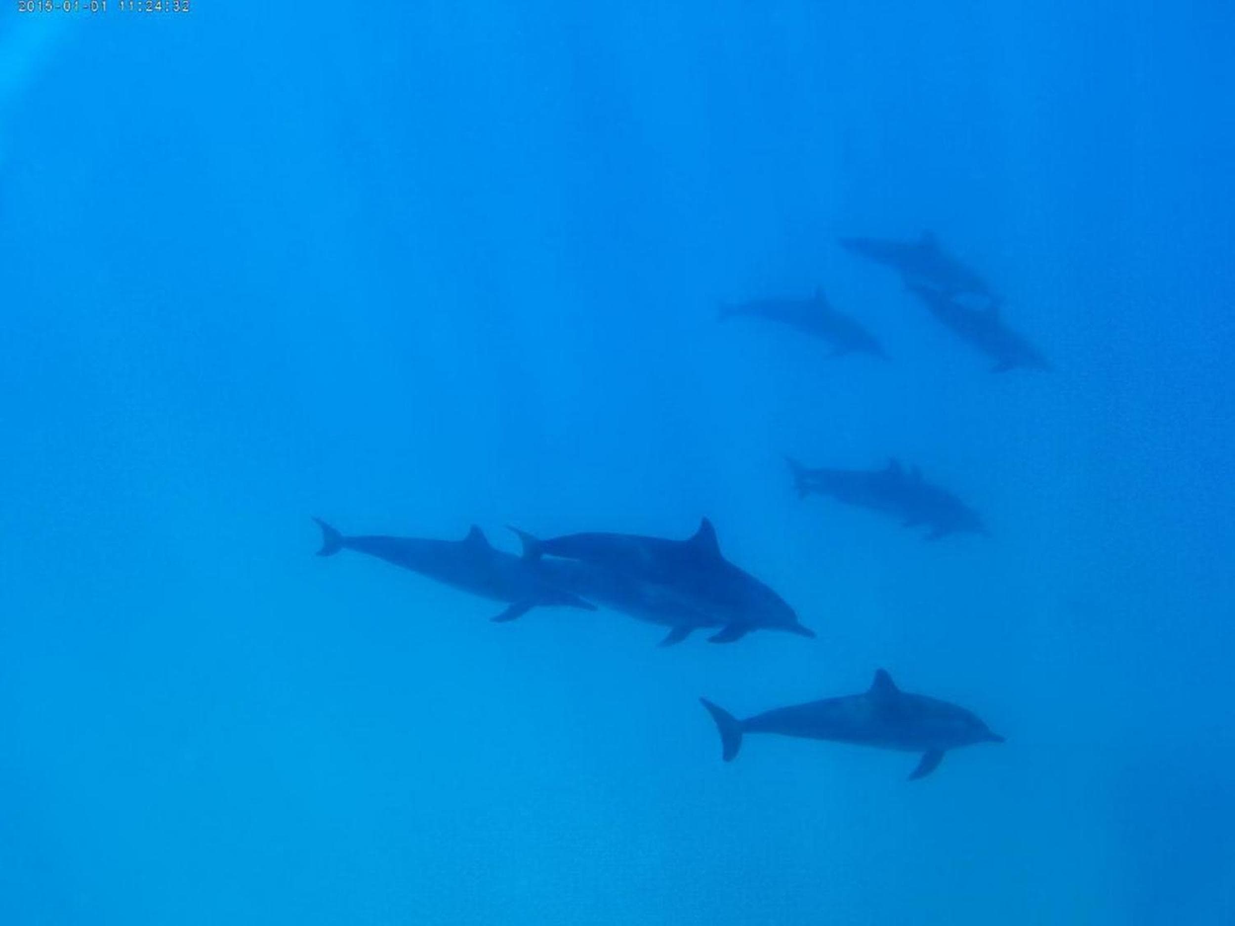 Adroit Beach Inn - View 143