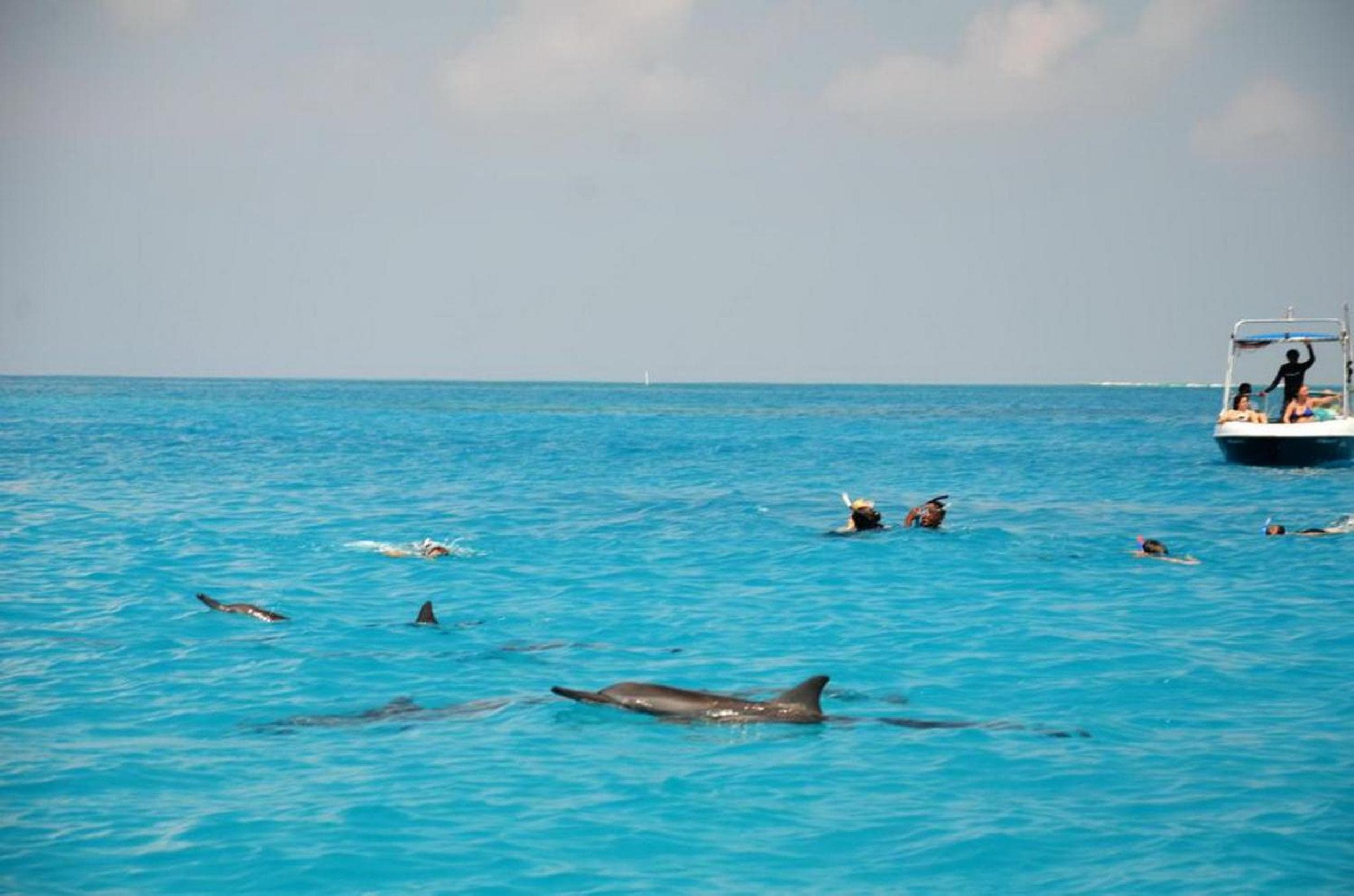 Adroit Beach Inn - View 149