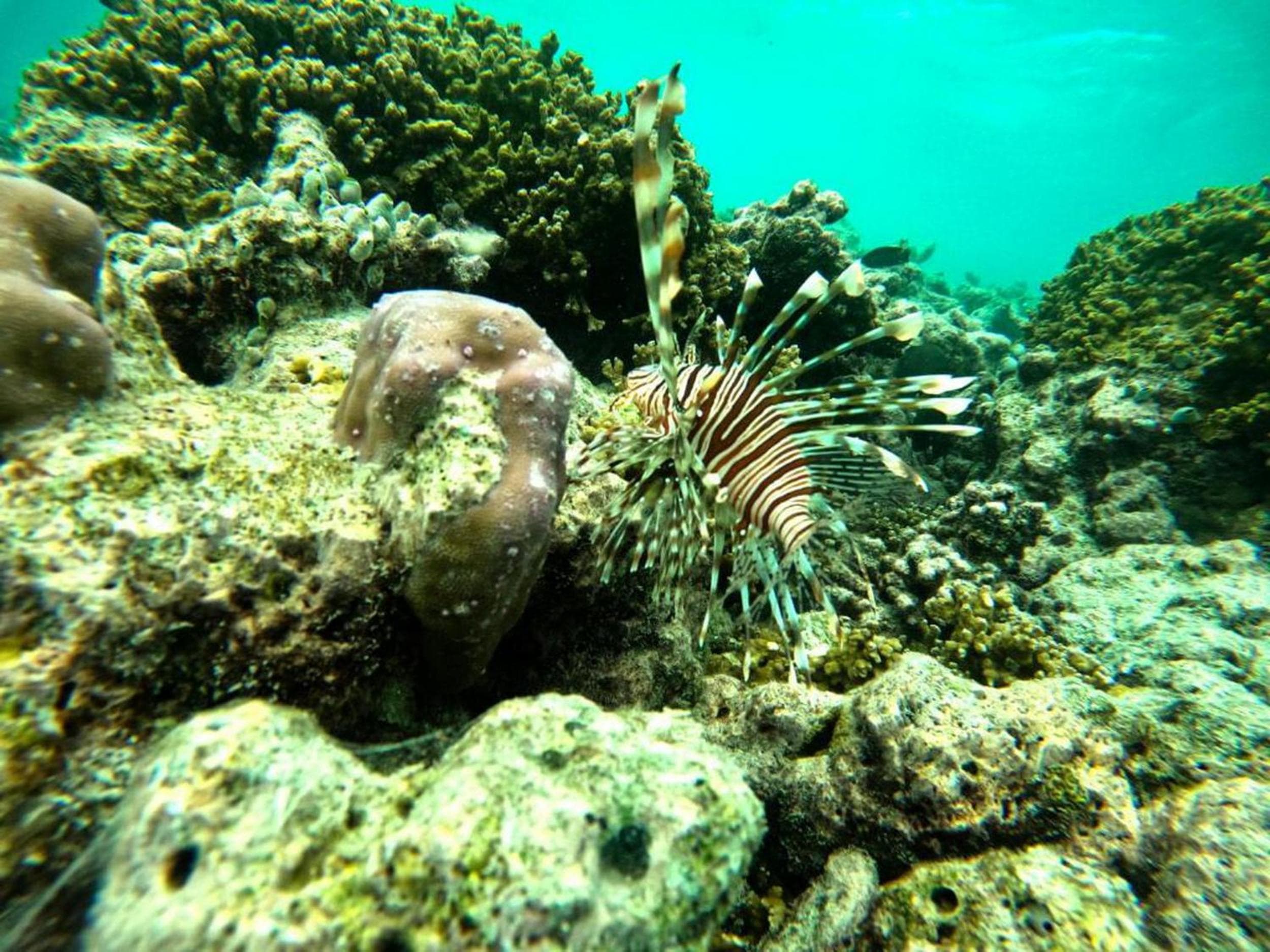 Adroit Beach Inn - View 52