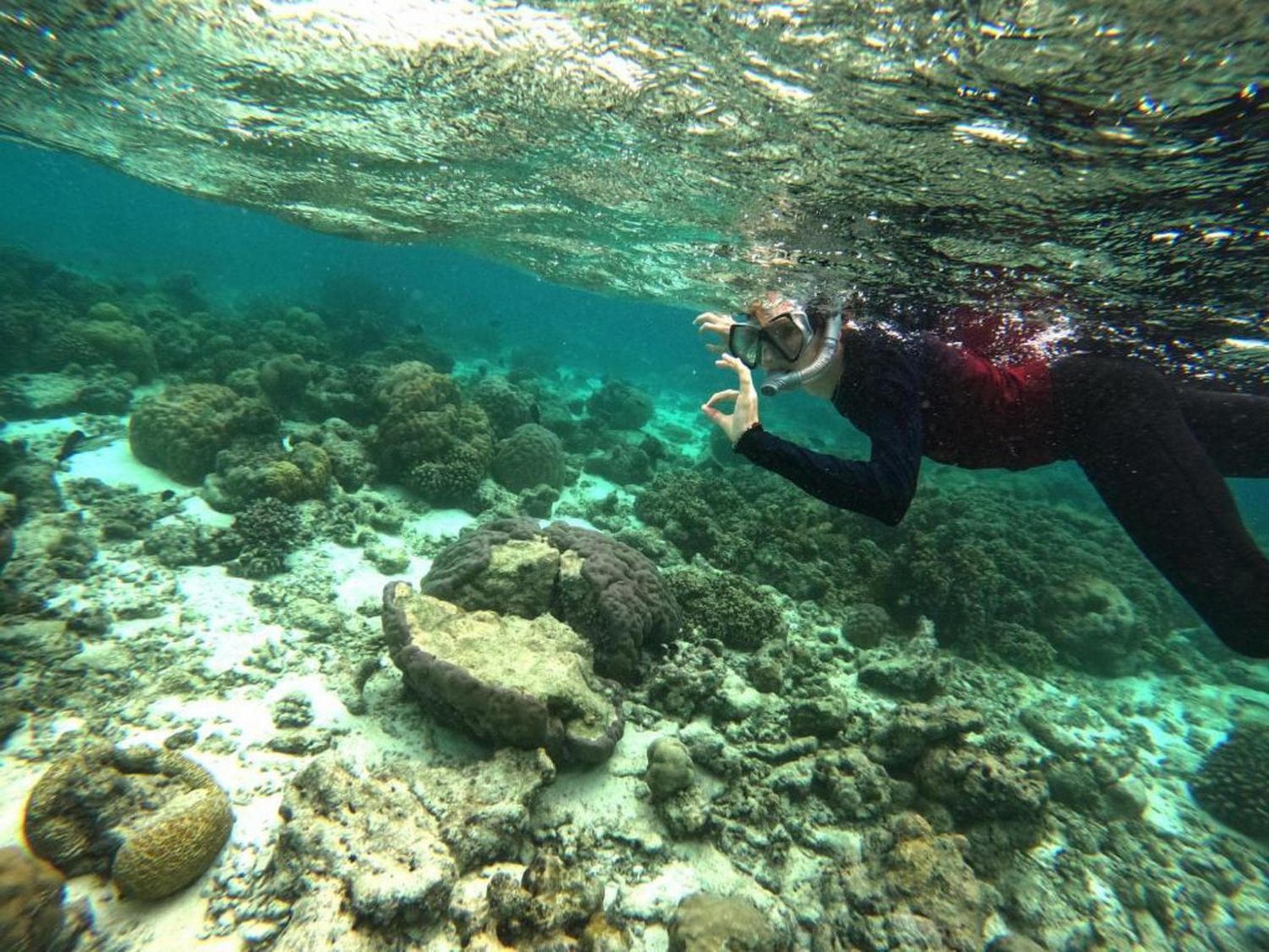 Adroit Beach Inn - View 156