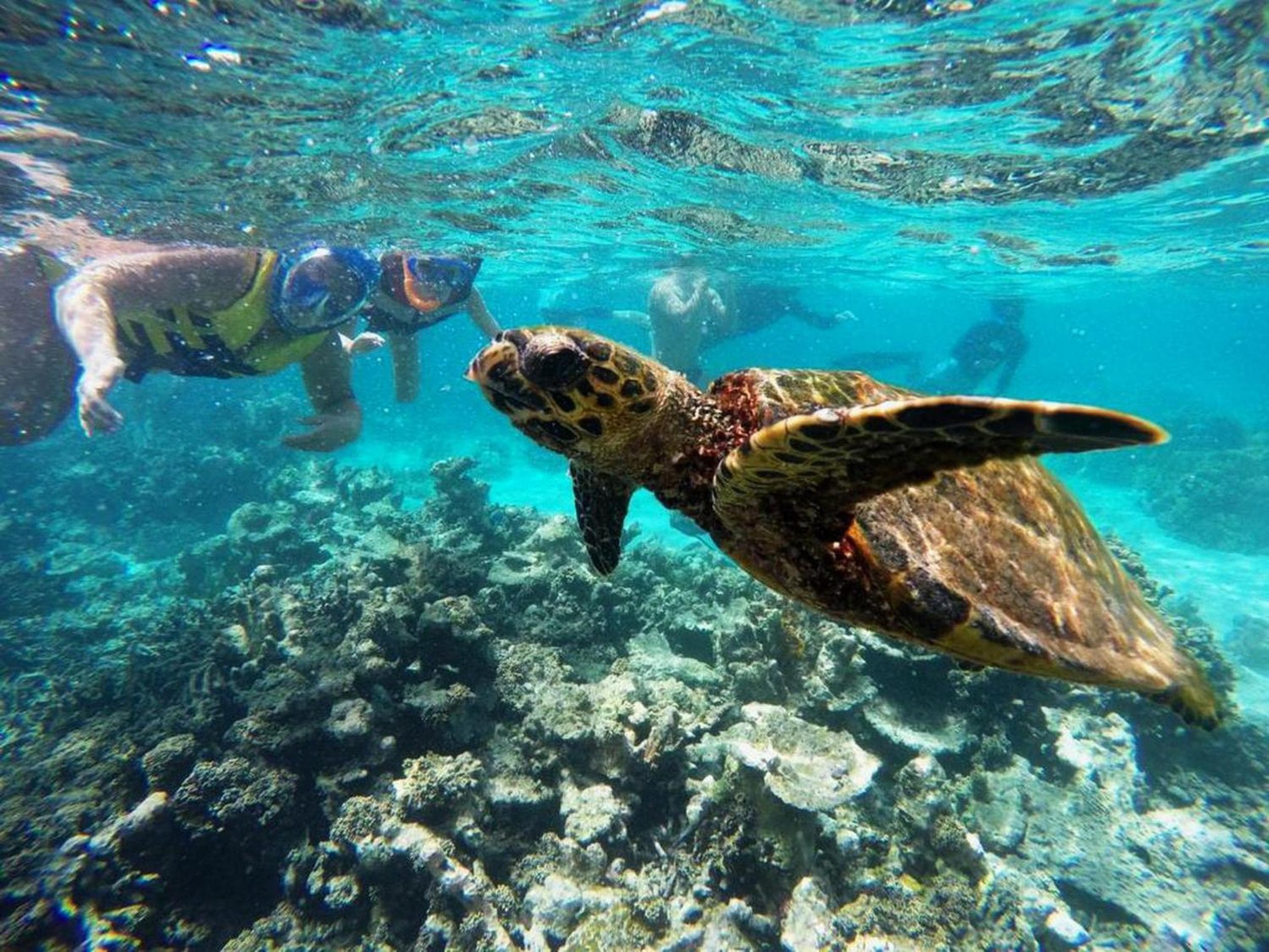 Adroit Beach Inn - View 145