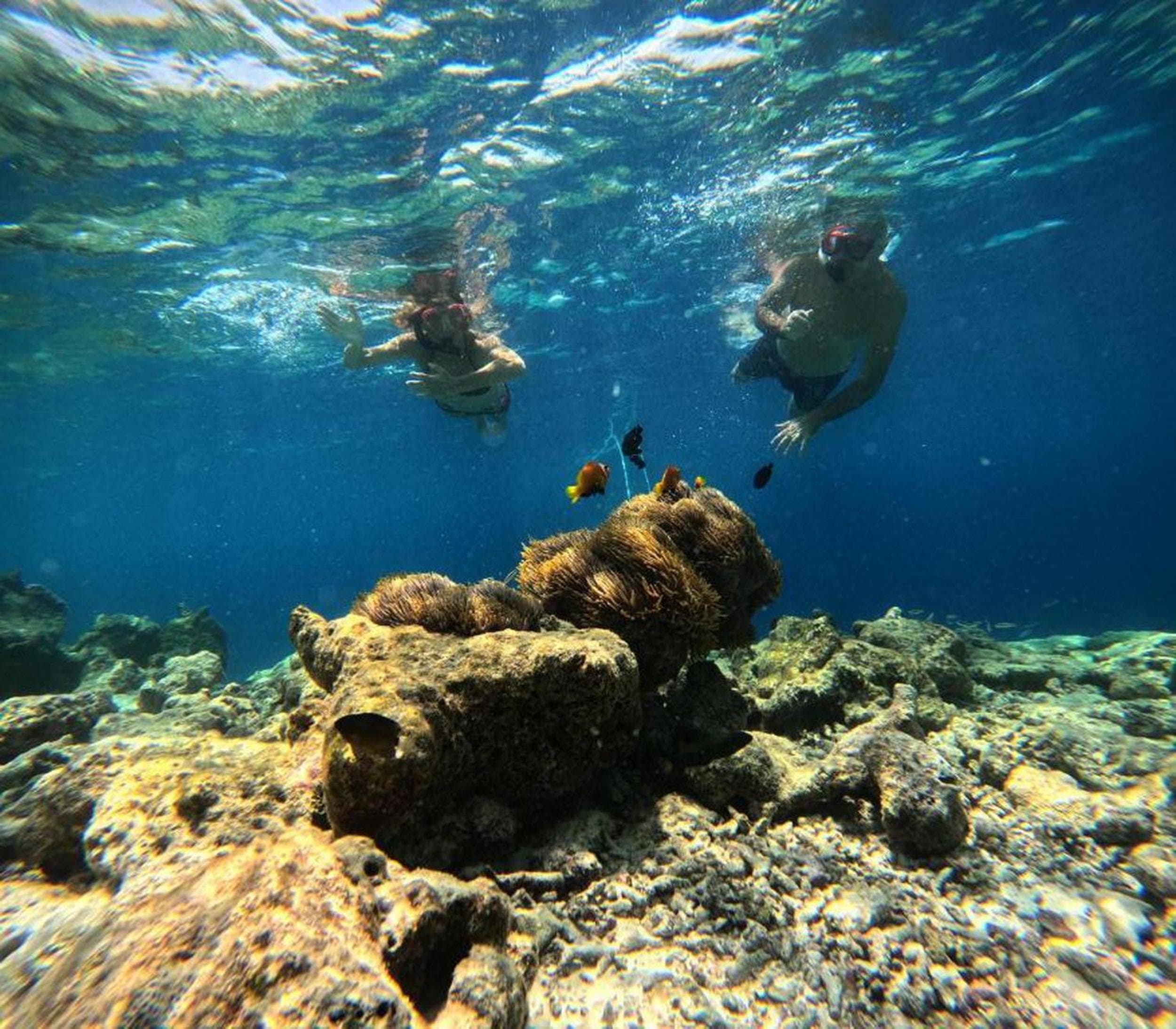 Adroit Beach Inn - View 154