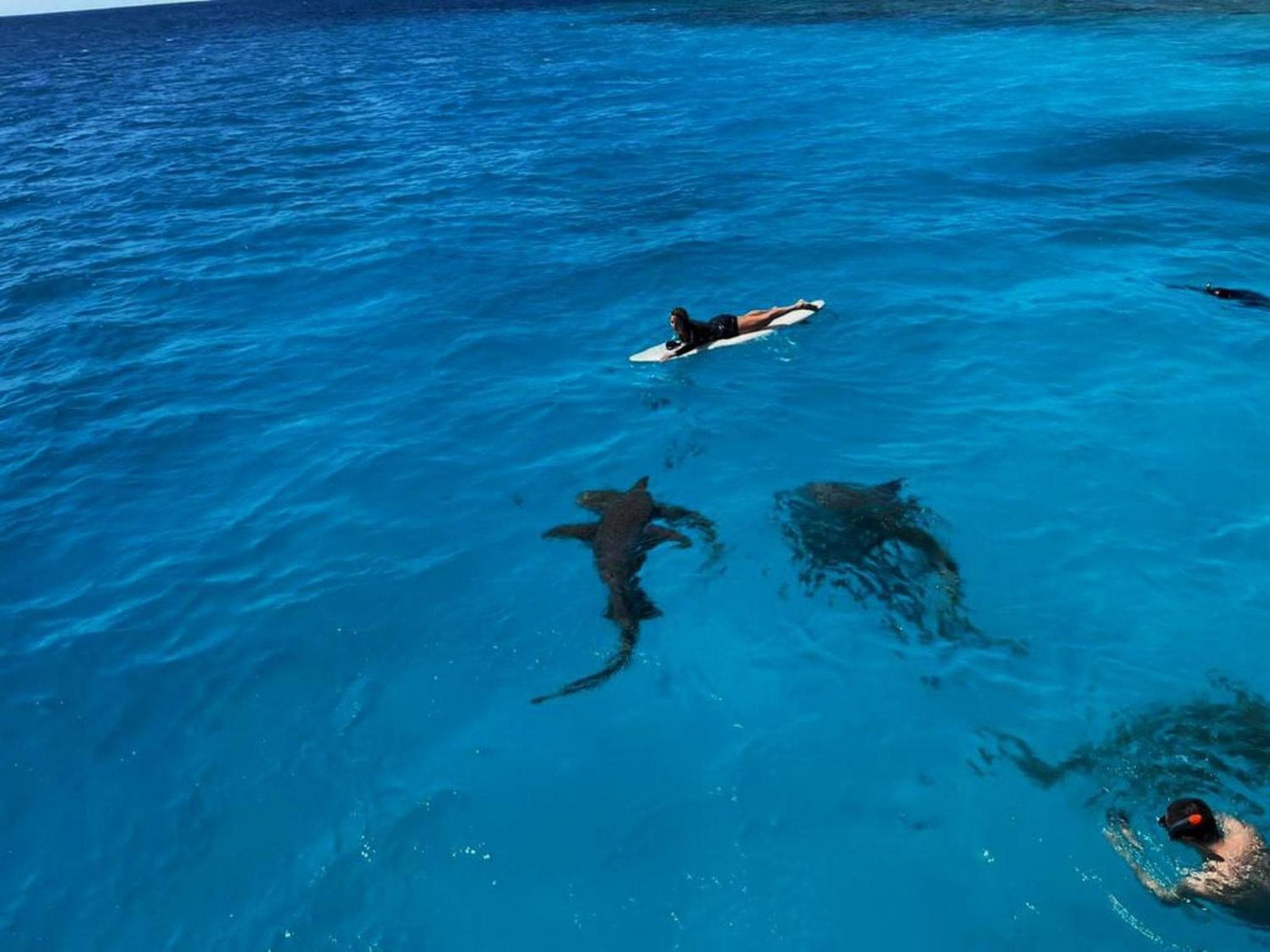 Adroit Beach Inn - View 169